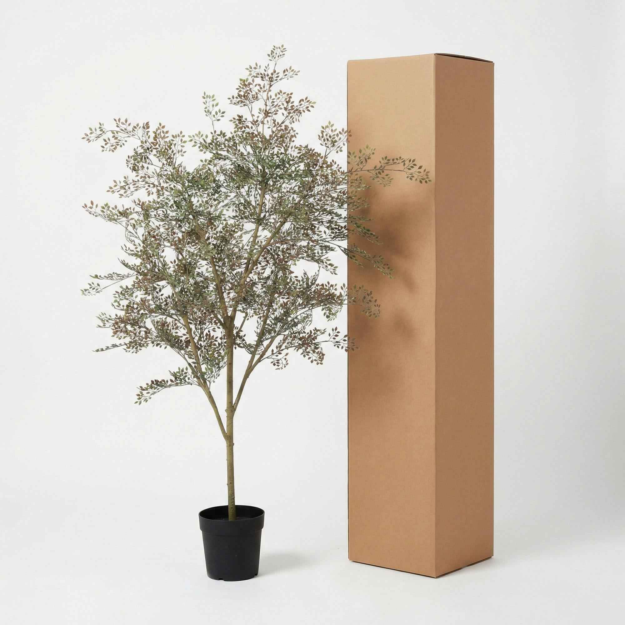 Image of Kunstpflanze Bucida165cm – künstlicher Deko – Baum im Topf – realistische Blattoptik & natürlicher Wuchs-1