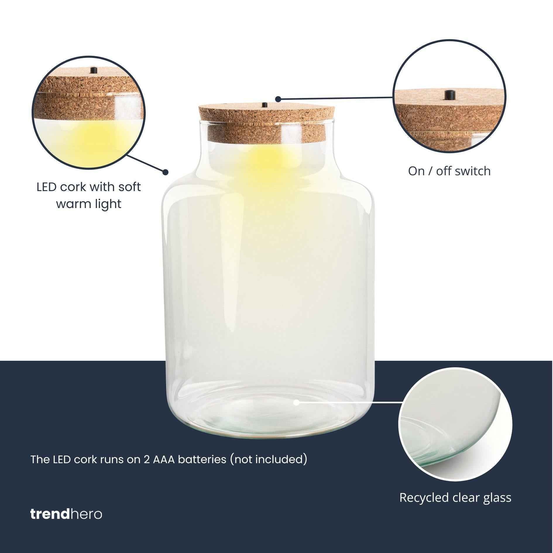 Image of Terrarium Flasche – Geschlossene Glasflasche mit Korken & LED – Beleuchtung – Höhe 24,5cm Ø17cm – Dekoratives Pflanzenterrarium aus Recyclingglas-1