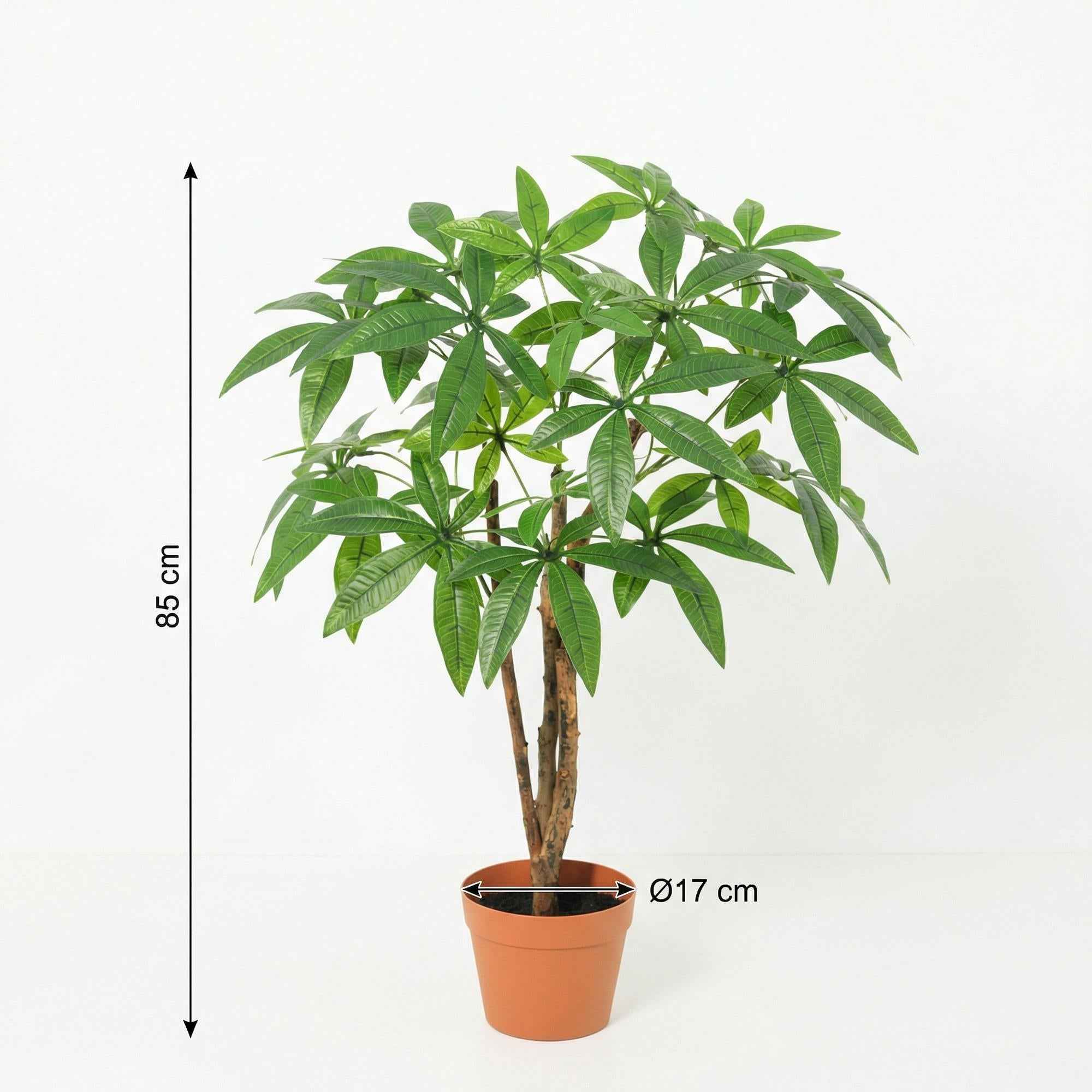 Image of Kunstpflanze Pachira Aquatica 86cm – künstlicher Glückskastanien – Baum im Topf-1