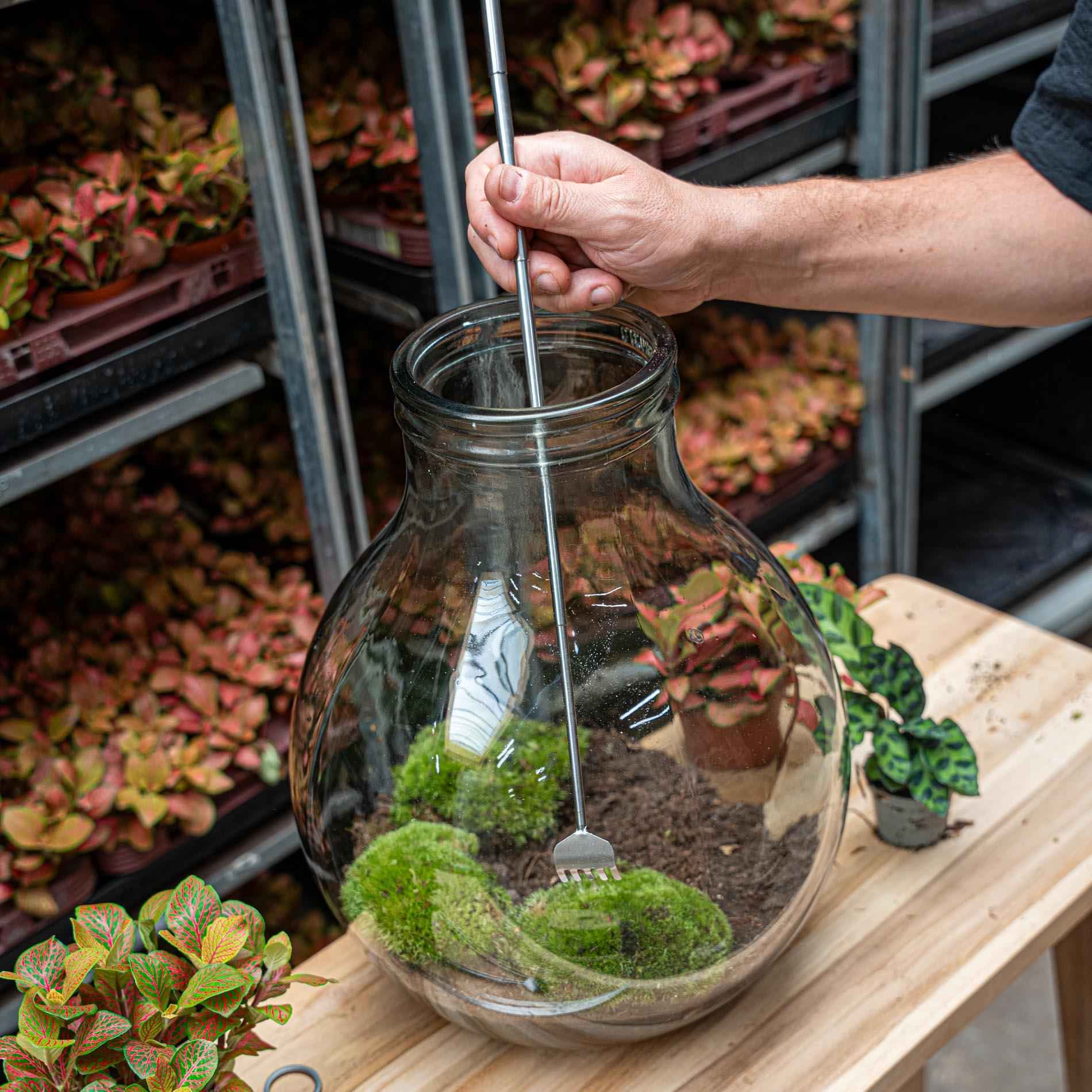 Image of Flaschengarten – Harke – Teleskop 16-49cm – Edelstahl – Präzisionswerkzeug für Terrarien, Mini – Gärten & Aquascaping