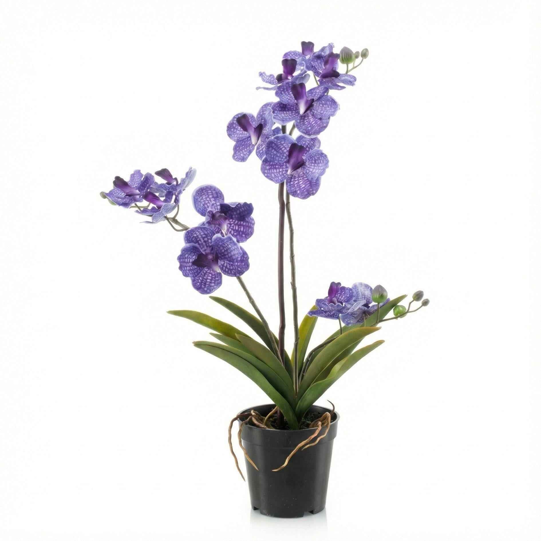 Image of Orchidee Vanda Kunstpflanze – ca.60cm – Violett – Künstliche Orchidee im Topf – Pflegefreie Dekopflanze für Wohnzimmer Büro & Empfang-0