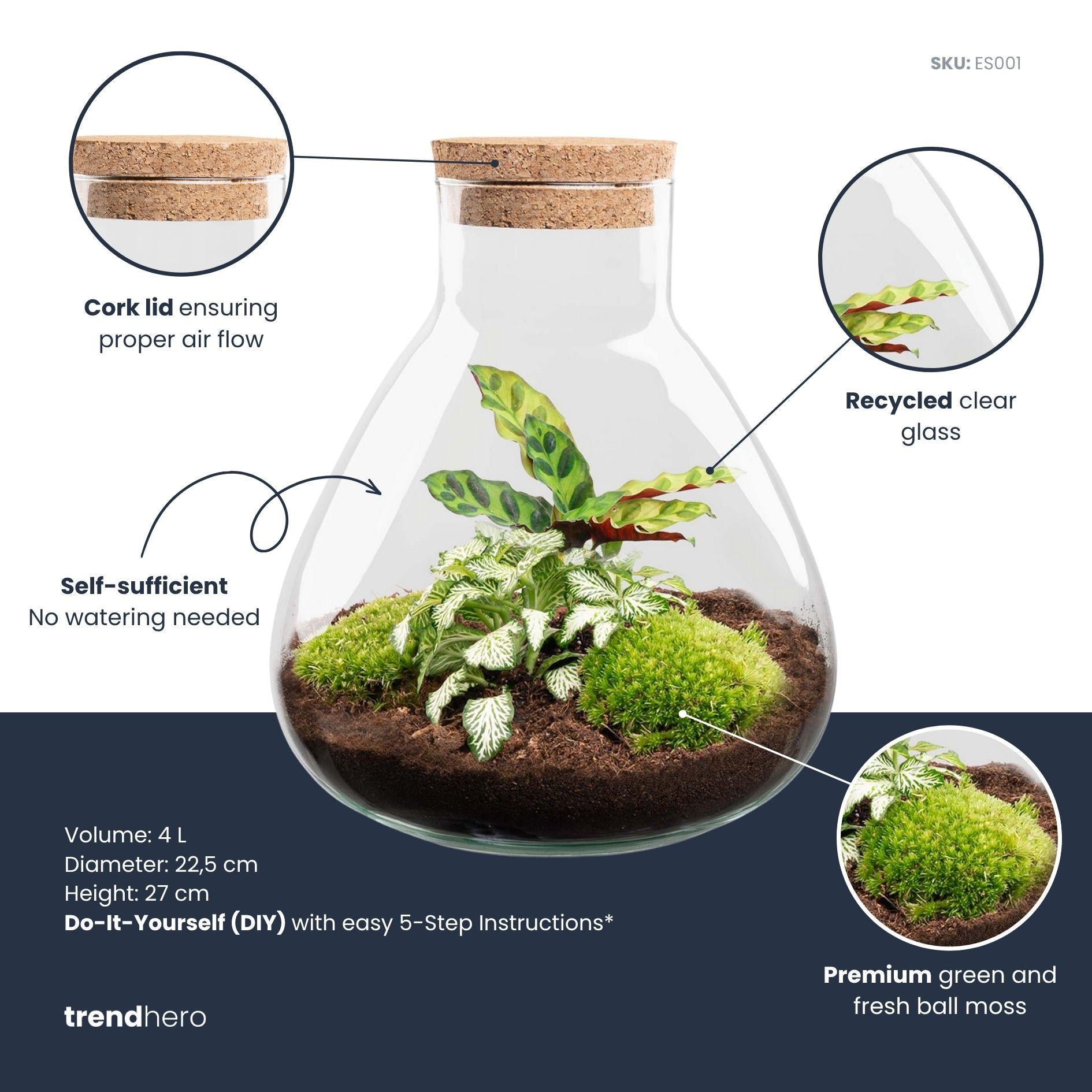 Image of Flaschengarten Sammie DIY – Pflanzenterrarium im Glas mit Korkdeckel – Mini – Dschungel im Glas Ø22,5×H27cm – inkl. Calathea & Moos-1