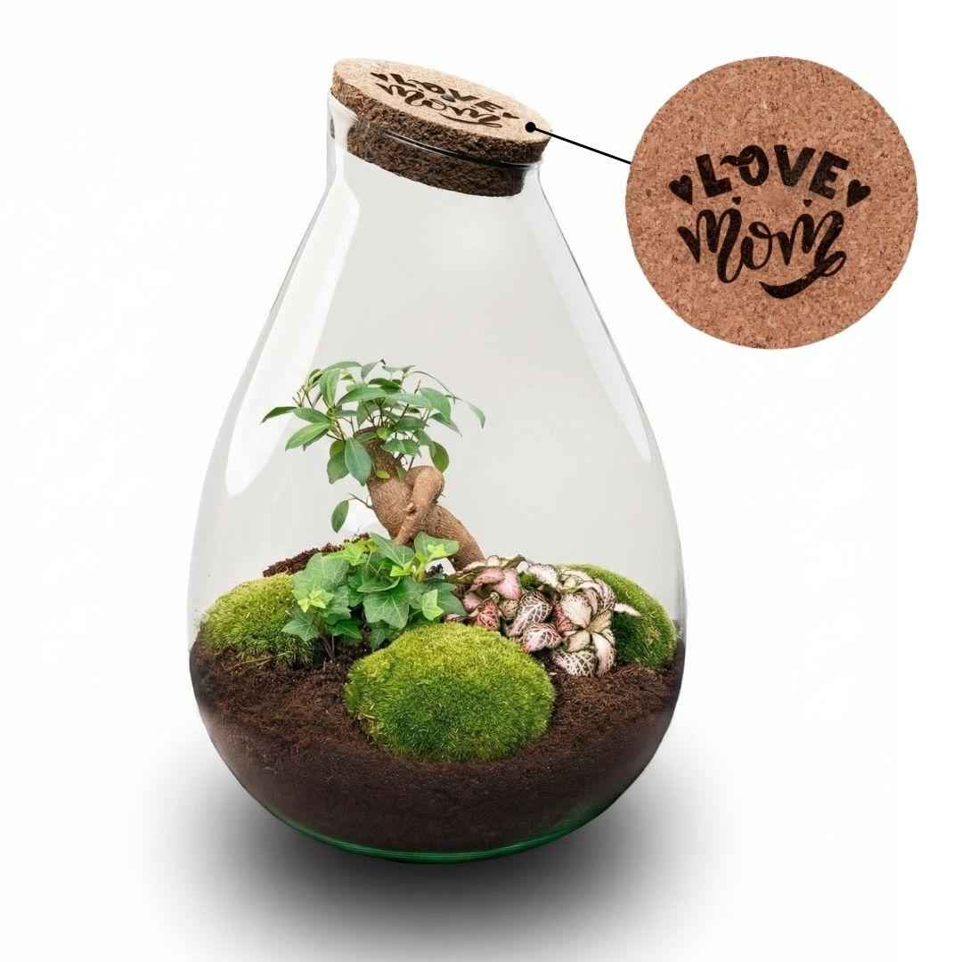 Image of Flaschengarten DIY Set LOVE MOM Terrarium Drop XL Ø24cm Höhe 37cm Muttertagsgeschenk mit graviertem LED Kork pflegeleichts Pflanzenterrarium mit-1