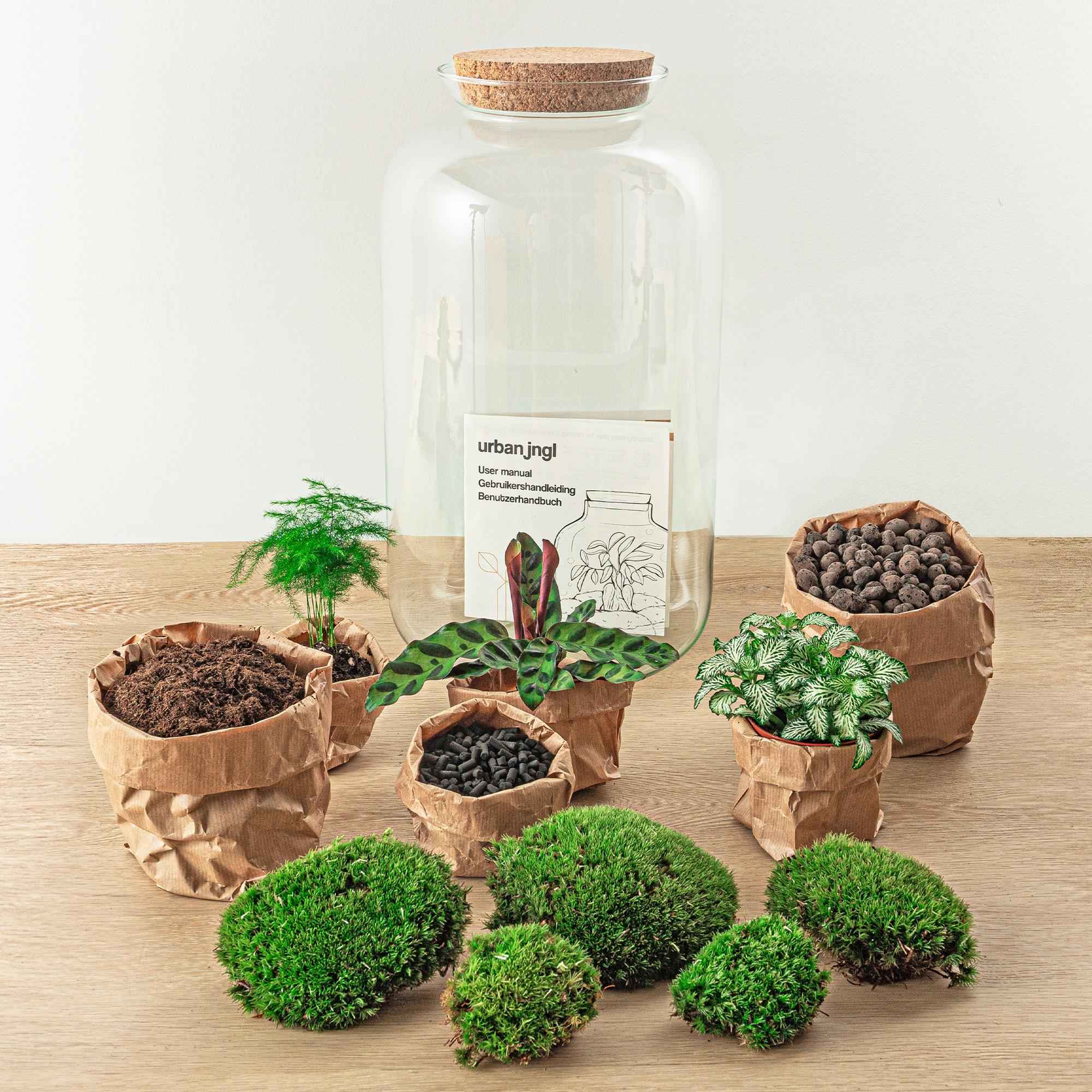 Image of Flaschengarten Botanical Sven XL – DIY Bausatz Terrarium – ↕43cm – Do – It – Yourself Pflanzen – Set mit Korkdeckel – Autarkes Ökosystem-2
