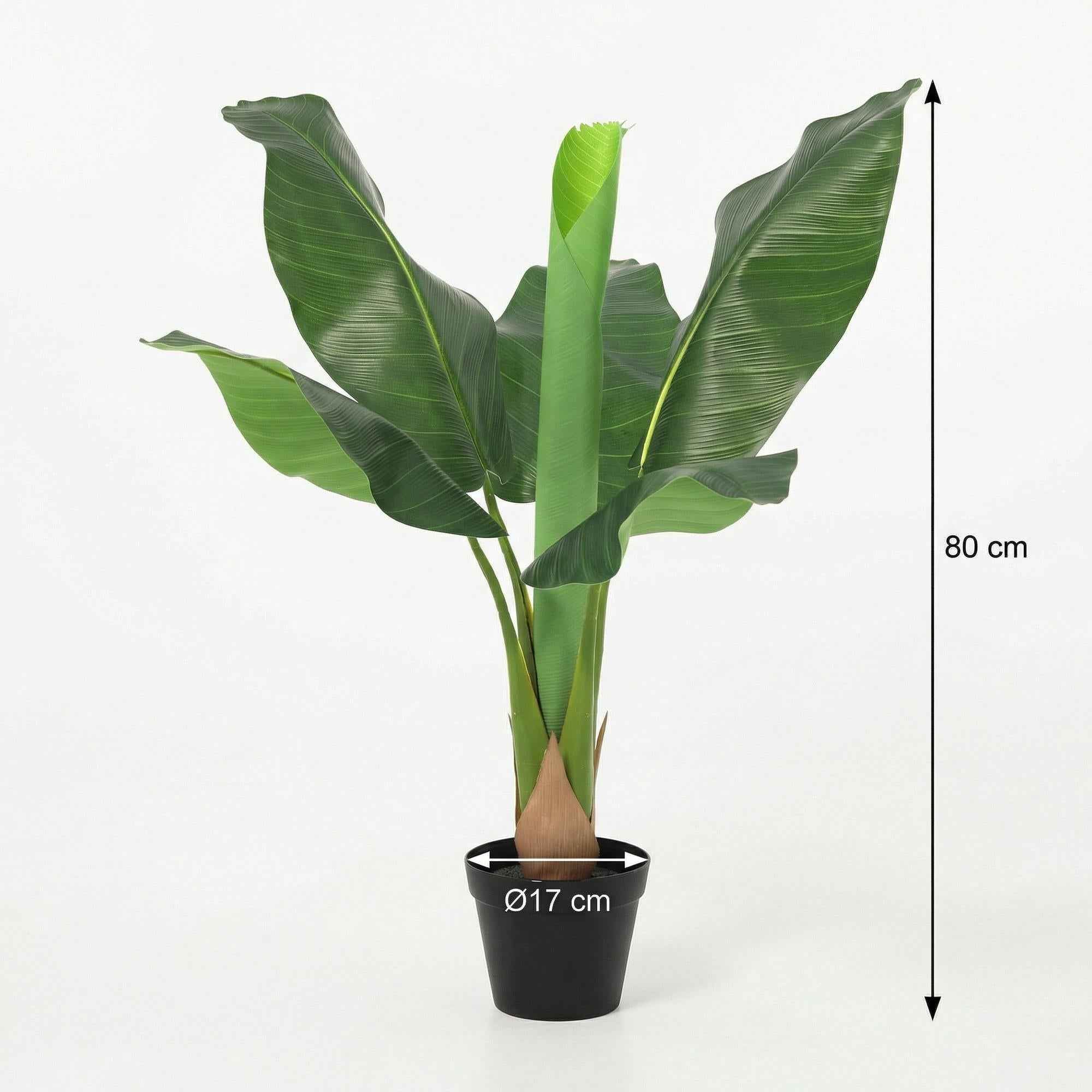 Image of Kunstpflanze Bananenpflanze Musa 80cm – künstliche Banana Plant – realistische große Blätter & tropische Optik – pflegeleichte Grün-1