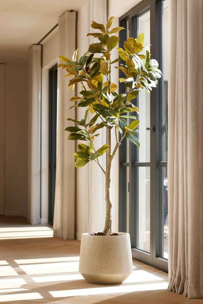 Image of Magnolia Denudata – 150cm Kunstbaum – Künstliche Magnolie Weiß – Pflegeleichte Deko für Zuhause & Büro-1