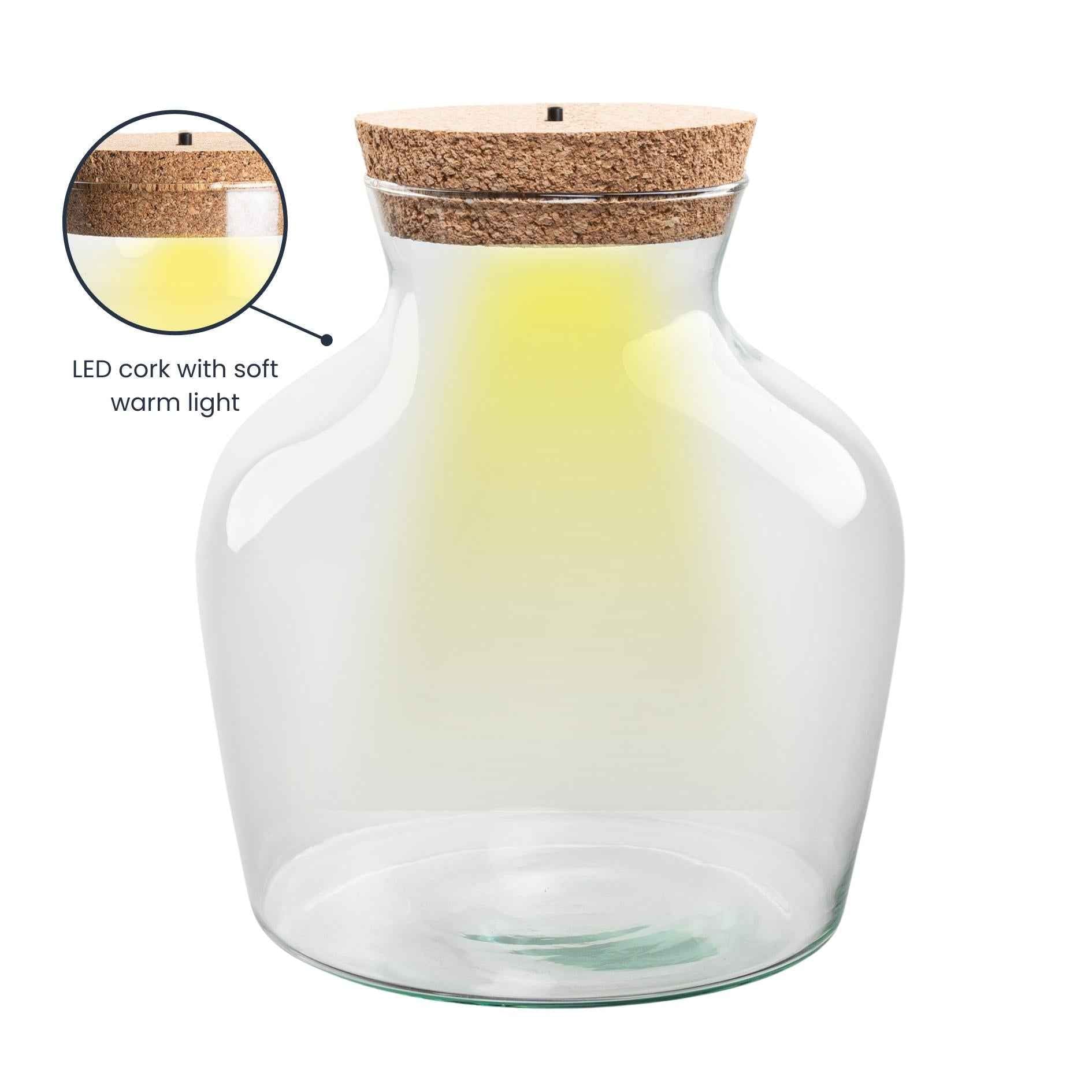 Image of Flaschengarten – Terrarienflasche aus recyceltem Glas mit LED – Korken – Höhe 22cm Ø20cm – Dekoratives Glasgefäß mit Beleuchtung-0