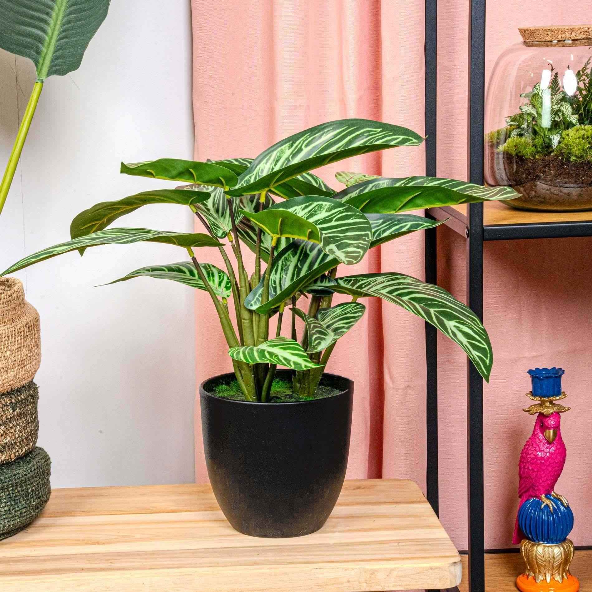 Image of Calathea Zebrina – Korbmarante – Kunstpflanze – 42cm hoch – Schwarzer Topf Ø10-16cm – Realistisches Zebramuster – Pflegeleicht & dekorativ-1