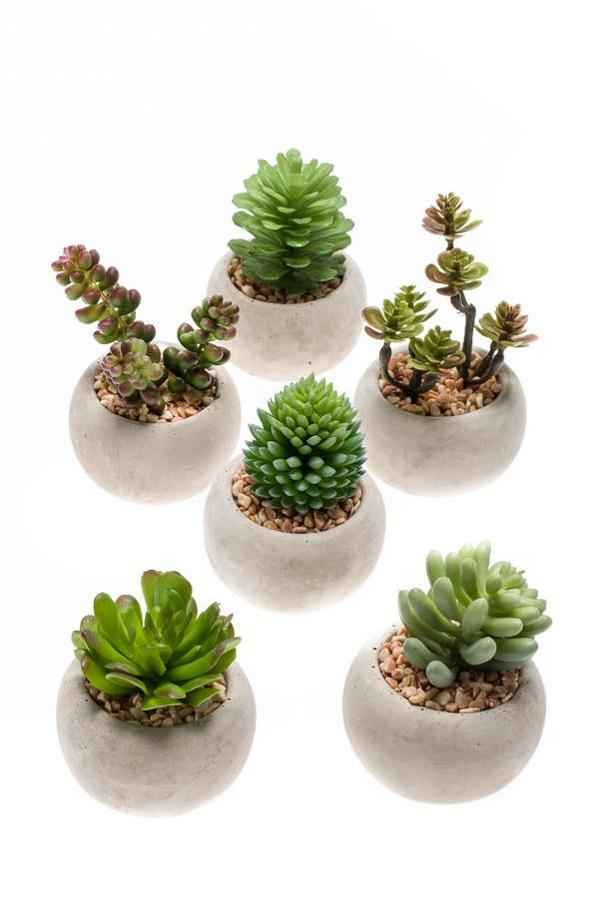 Image of Künstliche Mini Sukkulenten Set 6 im Zementtopf Ø6,5cm – realistische Kunstpflanzen Mischung 8-10cm
