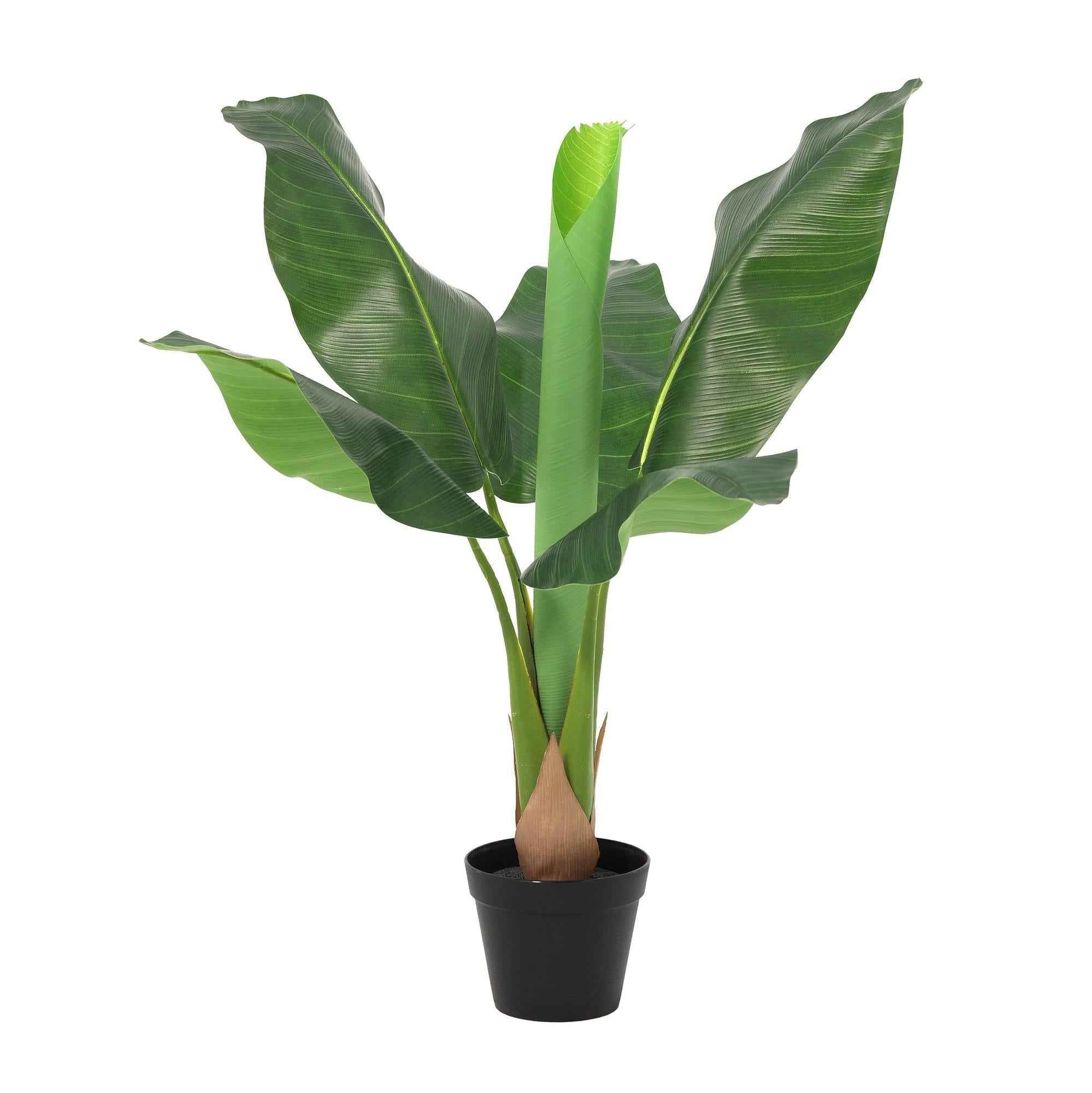 Image of Kunstpflanze Bananenpflanze Musa 80cm – künstliche Banana Plant – realistische große Blätter & tropische Optik – pflegeleichte Grün-0