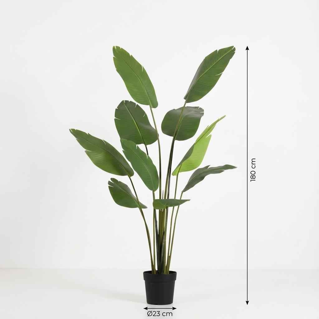 Image of Strelitzia Nicolai Kunstpflanze 180cm – Große Paradiesvogelblume Deko Pflanze – Pflegefreie Zimmerpflanze für Wohnzimmer Büro & Empfangsbereich-4