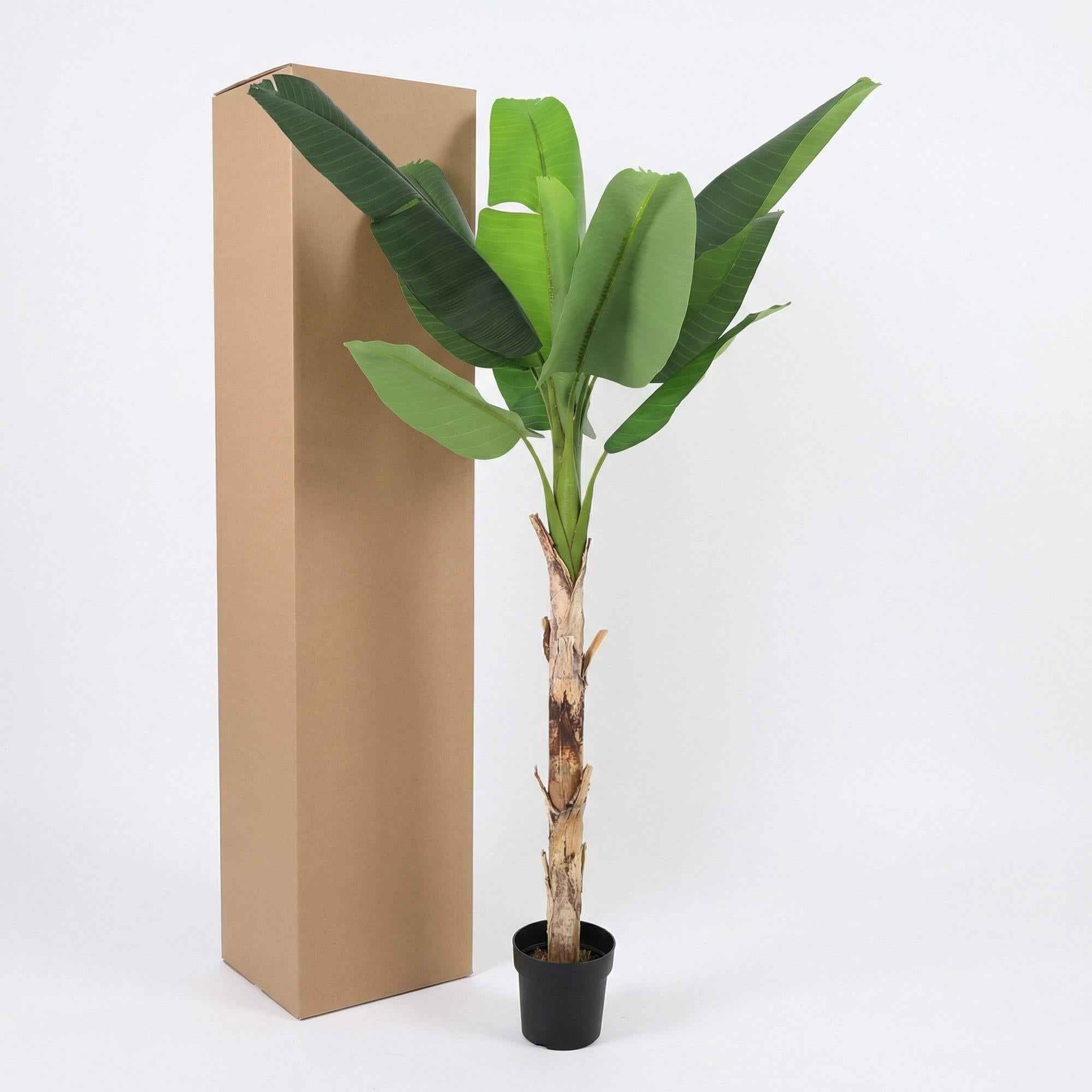 Image of Kunstpflanze Bananenpflanze Musa190cm – künstliche Banana Plant – extra großer Kunstbaum mit realistischen XXL – Blättern – pflegeleichte Tropen-2
