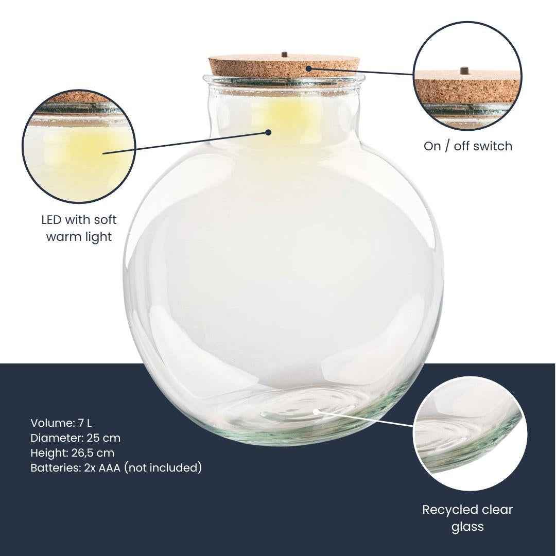 Image of Terrarienflasche Teddy mit Korken – Ø25cm ↕26,5cm – Glasflasche aus Recyclingglas – ca. 7L Volumen – Für DIY – Terrarien & Mini – Ökosysteme-1
