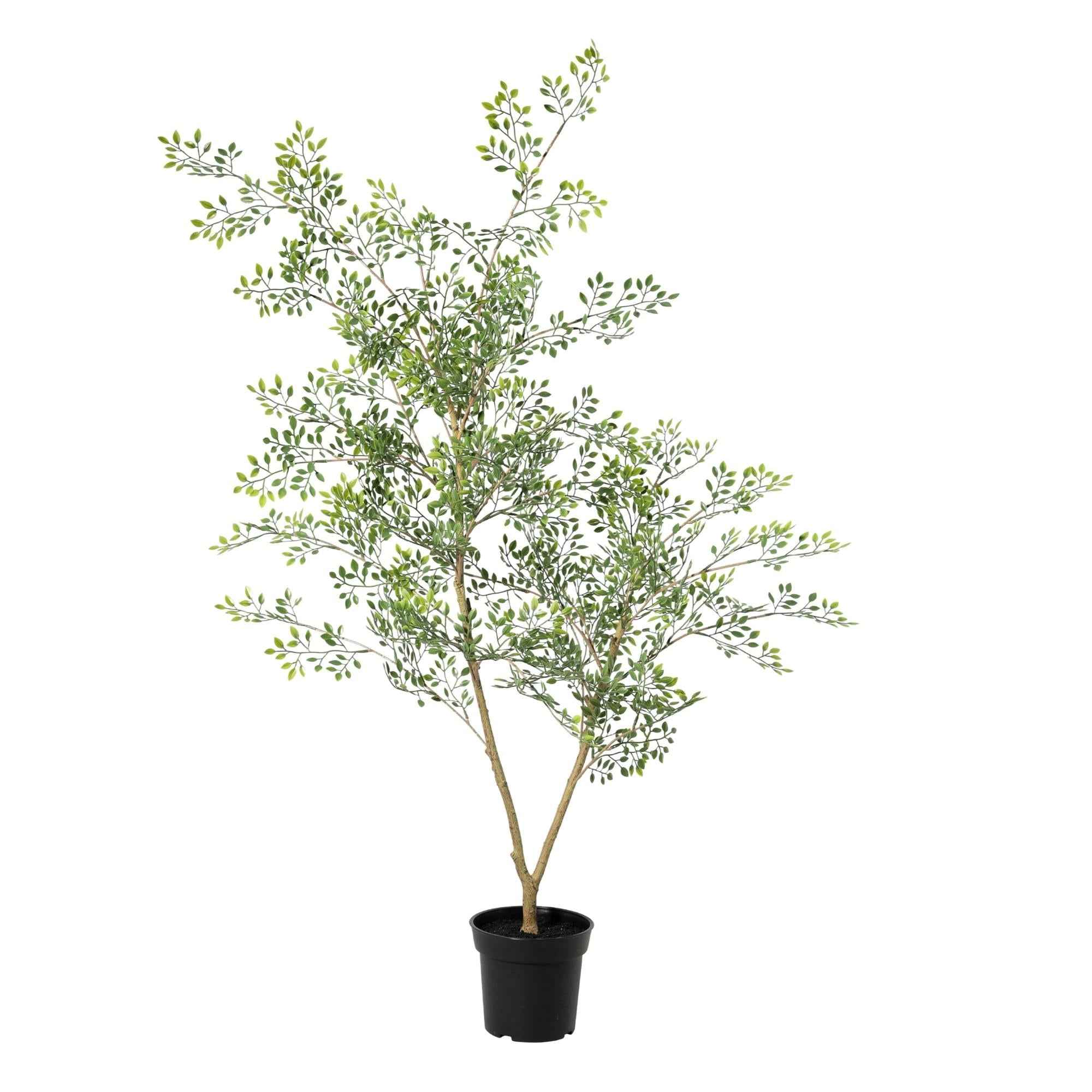 Image of Kunstpflanze Bucida 71cm – künstliche Grünpflanze – realistische Blätter & natürlicher Wuchs-0