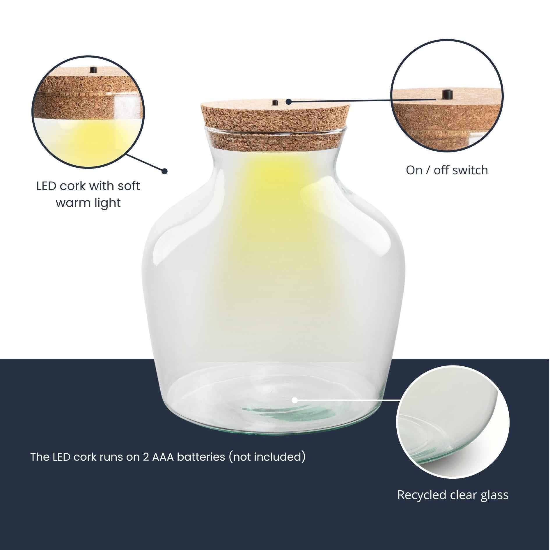 Image of Flaschengarten – Terrarienflasche aus recyceltem Glas mit LED – Korken – Höhe 22cm Ø20cm – Dekoratives Glasgefäß mit Beleuchtung-1