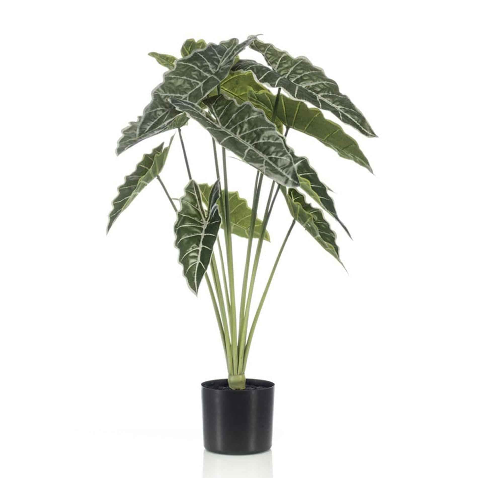 Image of Alocasia Kunstpflanze 80cm – Tropischer Blickfang in Grün – Pflegeleicht & Realistisch – Ohne Gießen – Für Wohnzimmer, Büro & Gastronomie-0