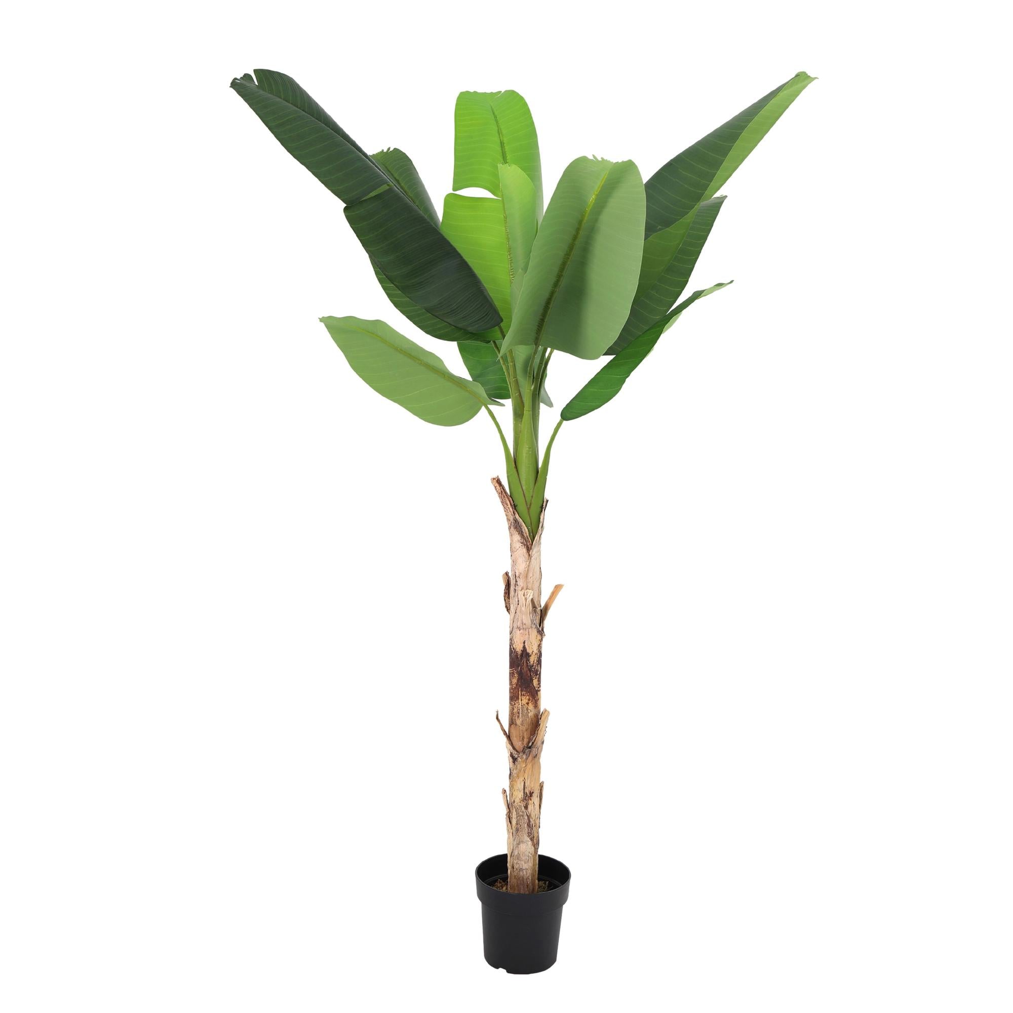 Image of Kunstpflanze Bananenpflanze Musa190cm – künstliche Banana Plant – extra großer Kunstbaum mit realistischen XXL – Blättern – pflegeleichte Tropen-0