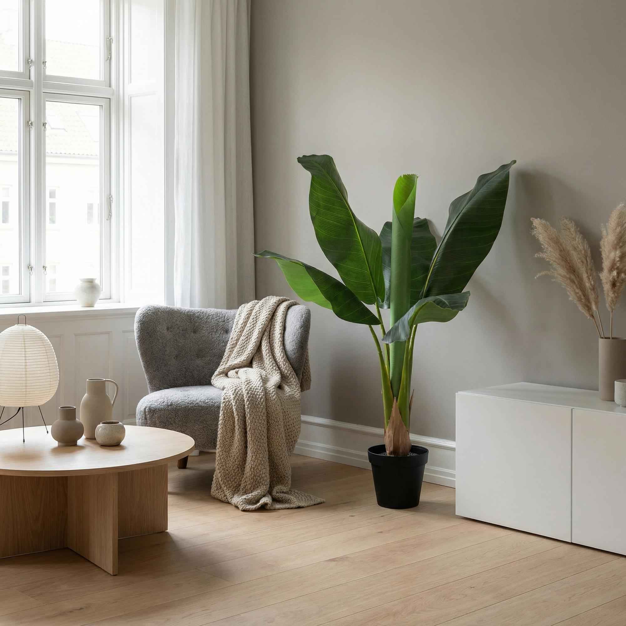 Image of Kunstpflanze Bananenpflanze Musa 80cm – künstliche Banana Plant – realistische große Blätter & tropische Optik – pflegeleichte Grün-2