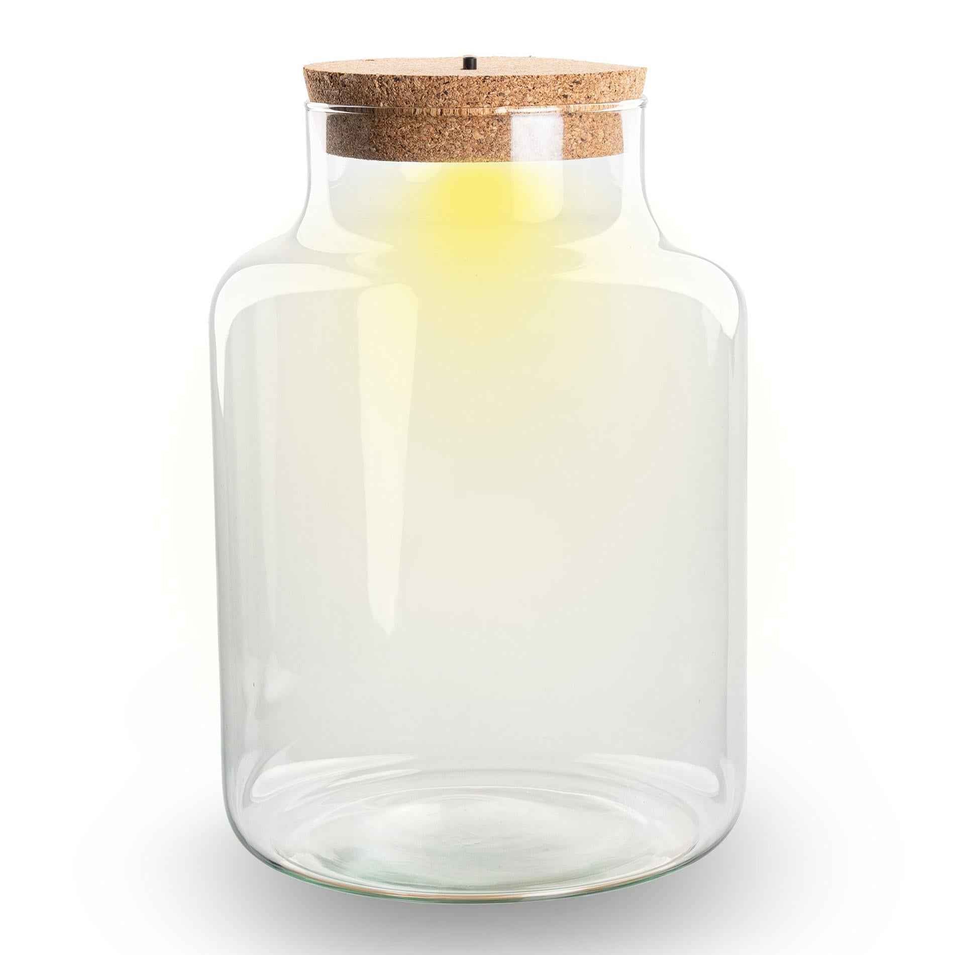 Image of Terrarium Flasche – Geschlossene Glasflasche mit Korken & LED – Beleuchtung – Höhe 24,5cm Ø17cm – Dekoratives Pflanzenterrarium aus Recyclingglas-0