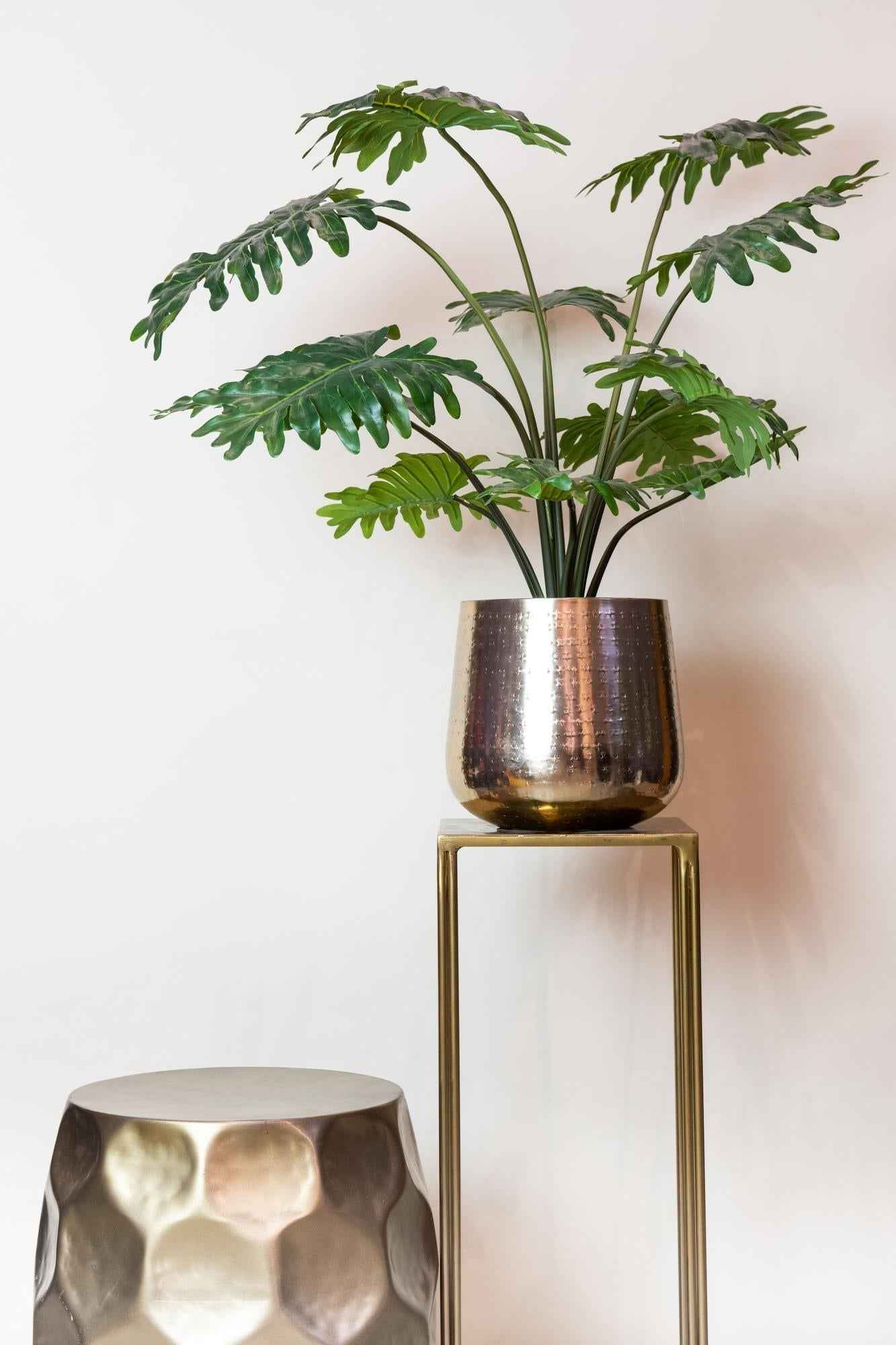 Image of Kunstpflanze Philodendron – 60cm – Täuschend echt & pflegefrei – Dekorative Kunst – Zimmerpflanze für Wohnzimmer & Büro – Nachhaltig & langlebig-3