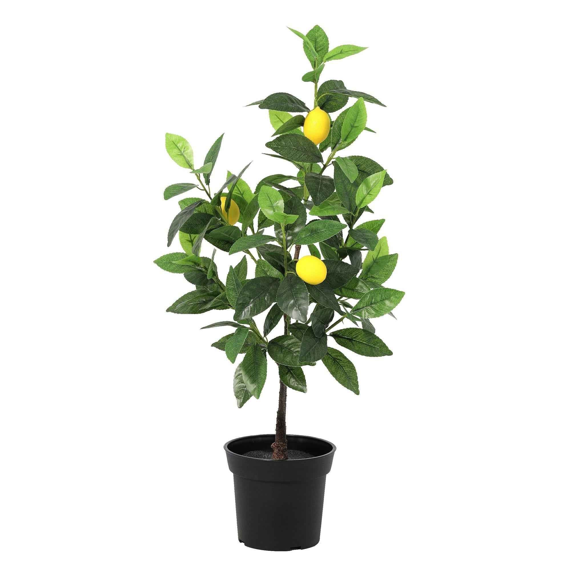Image of Kunstpflanze Zitronenbaum 65cm – künstlicher Lemon Tree – realistische Blätter & Zitronenoptik