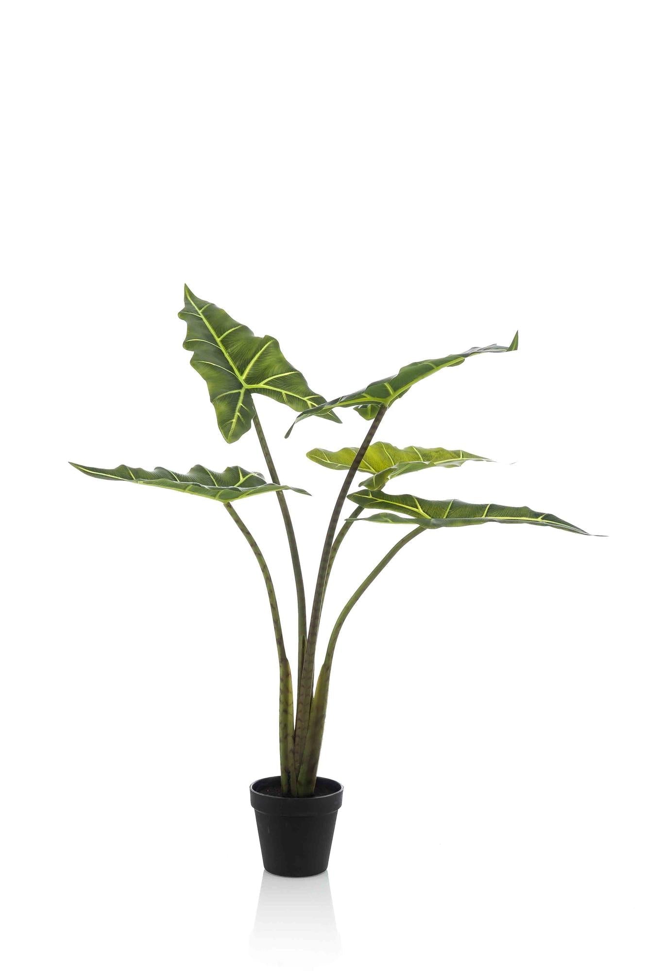 Image of Kunstpflanze Alocasia Frydek – 80cm – künstliche Zimmerpflanze mit naturgetreuen Blättern – Immergrün & pflegeleicht – Dekopflanze für Zimmer & Büro-0