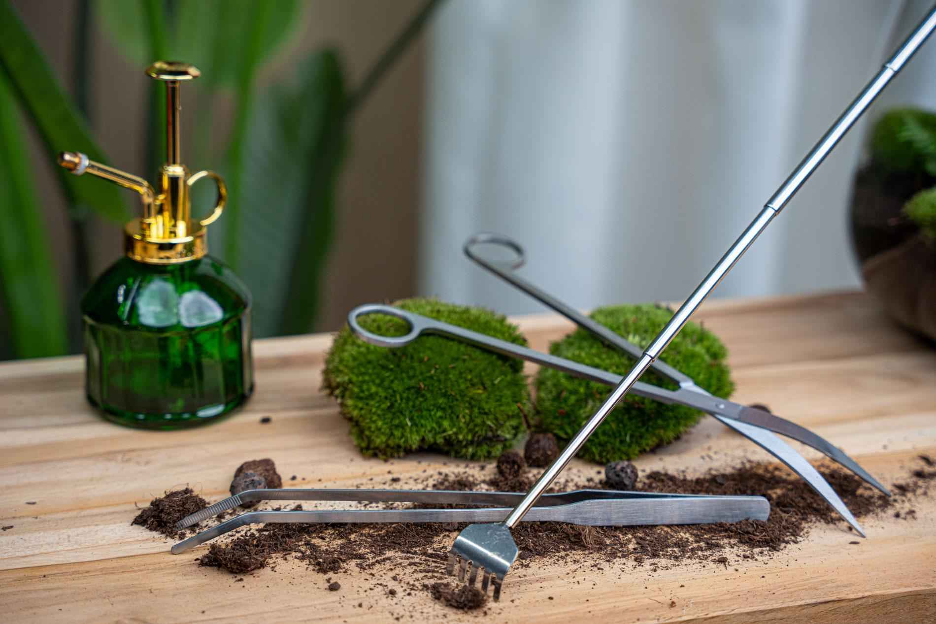 Image of Terrarienpinzette – Edelstahl – 26cm – Lange Greifpinzette für Terrarium & Flaschengarten-1