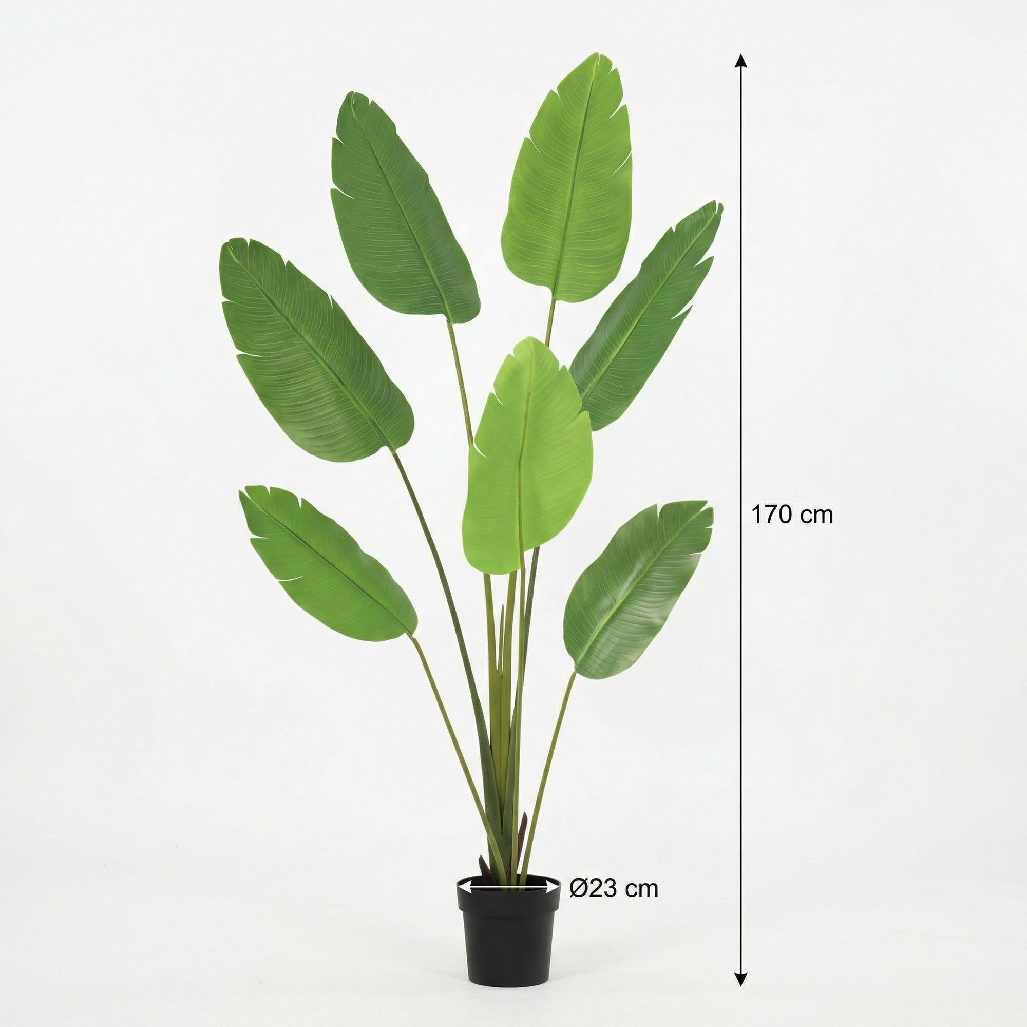 Image of Kunstpflanze Strelitzia Nicolai 170cm – künstliche Paradiesvogelblume als XXL Deko-Pflanze im Topf-3