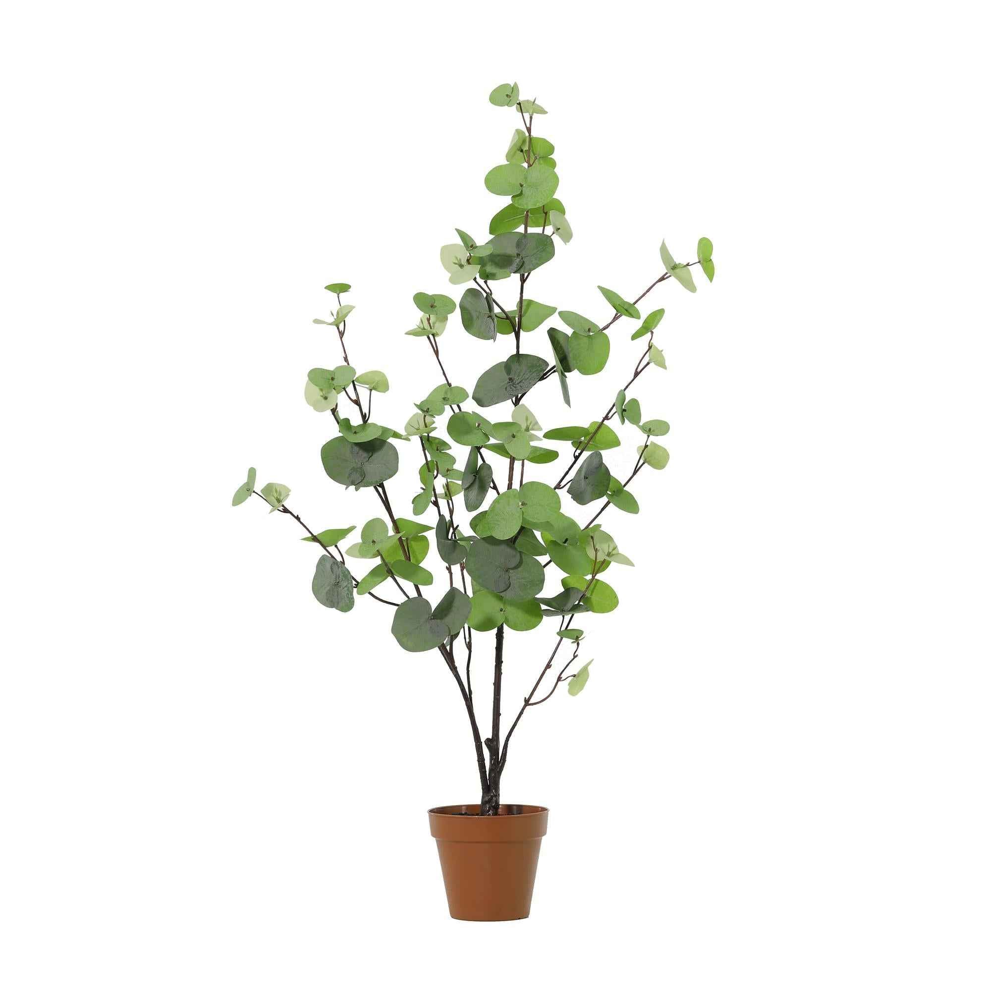 Image of Künstlicher Eukalyptus grün 86cm dekorative Kunstpflanze für Wohnzimmer Büro Schlafzimmer Flur pflegefreie Wohnraum Deko moderne hohe Kunstpflanze