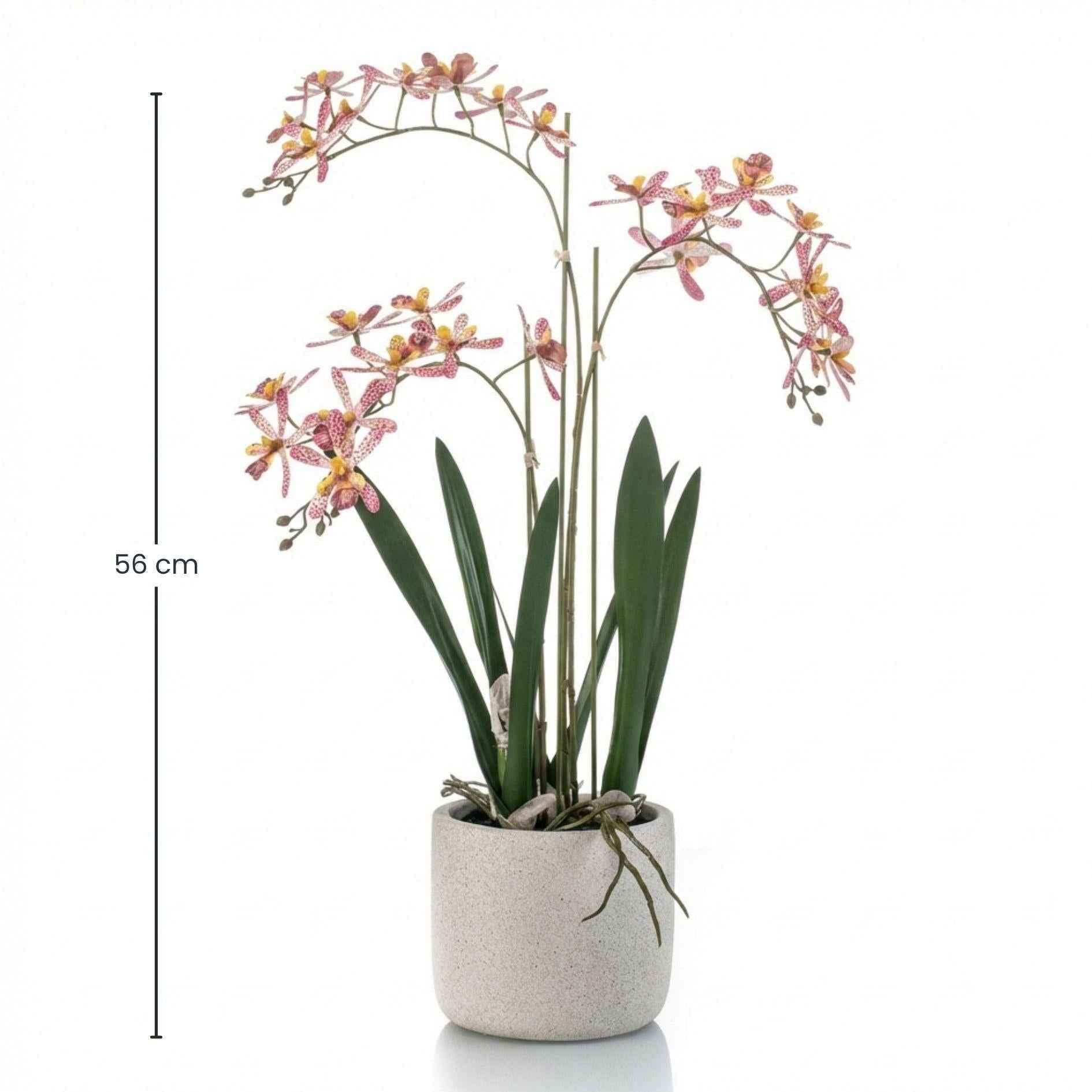 Image of Künstliche Renanthera Orchidee 56cm im Topf – gelb orange blühende Kunstpflanze im grauen Topf-2