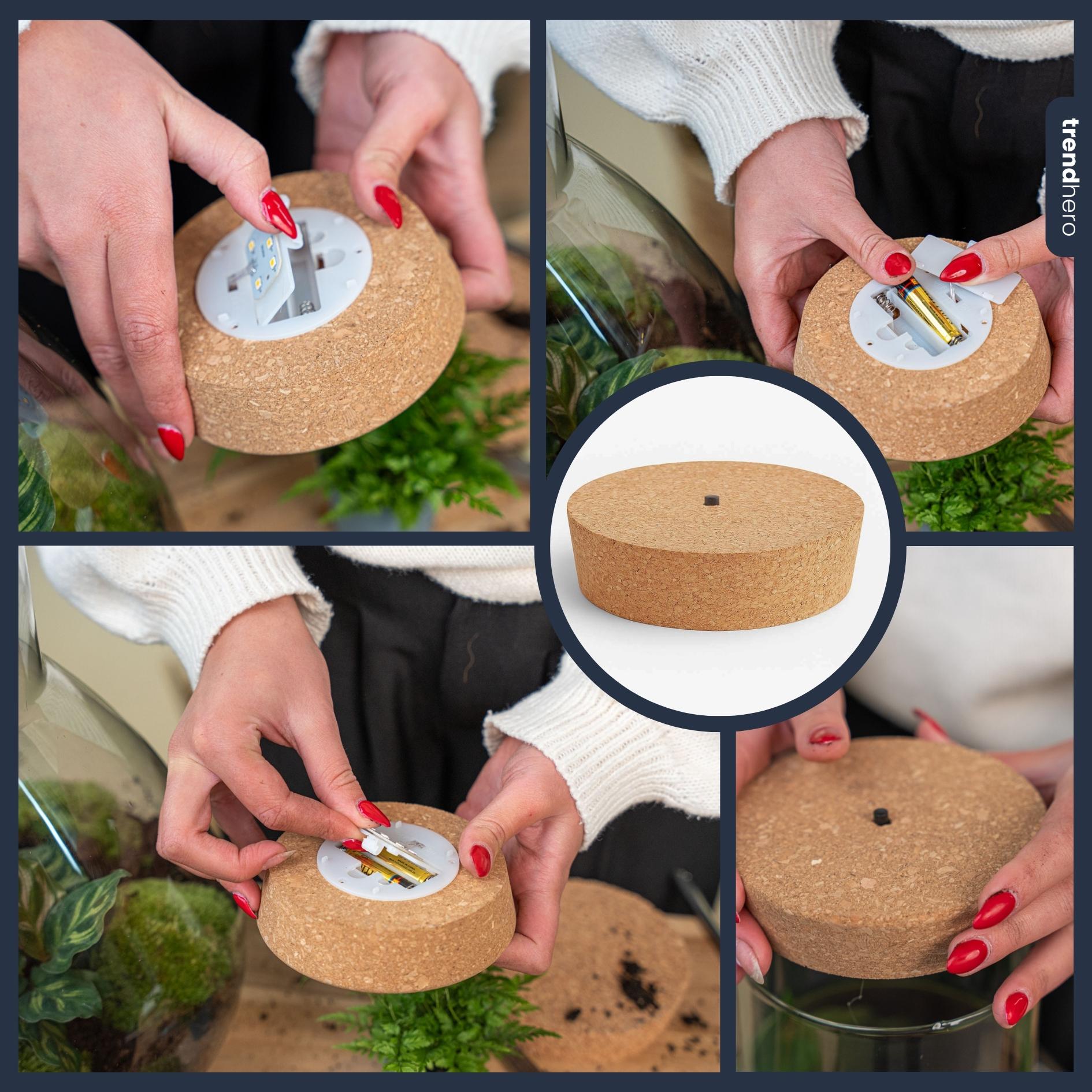 Image of LED Kork – Kork mit Beleuchtung – LED Lampe für Terrarium 13,2x11,9x3,5cm – Warmweißes Stimmungslicht für Flaschengarten & Glasdeko-4