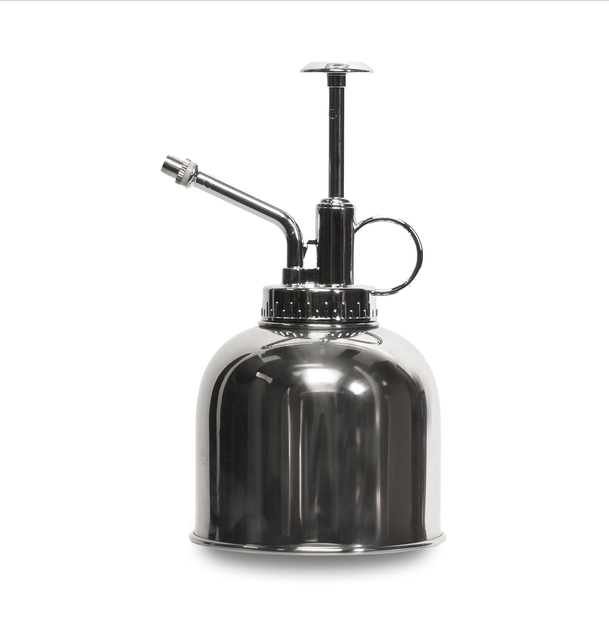 Image of Pflanzensprüher Silber 300ml – Edelstahl – Zimmersprüher für Pflanzen, Kräuter & Terrarien-0