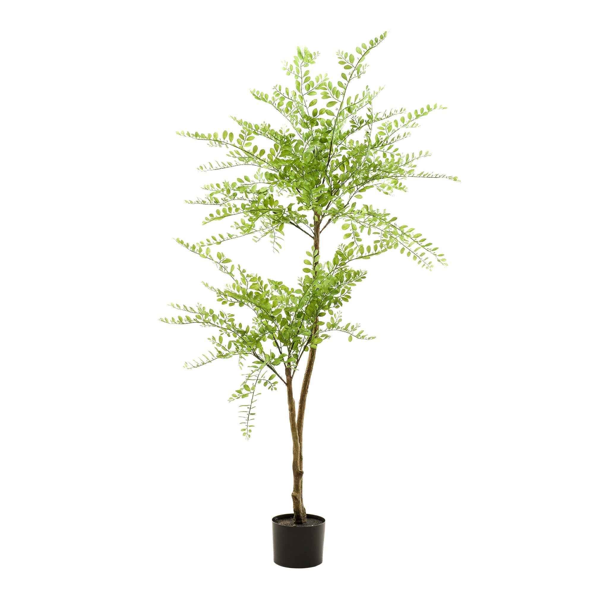 Image of Kunstpflanze Sophorabaum – Honigbaum – 140cm – Pflegeleichter Deko – Baum für Zuhause & Büro – Realistischer Look – Ideal für Wohnräume