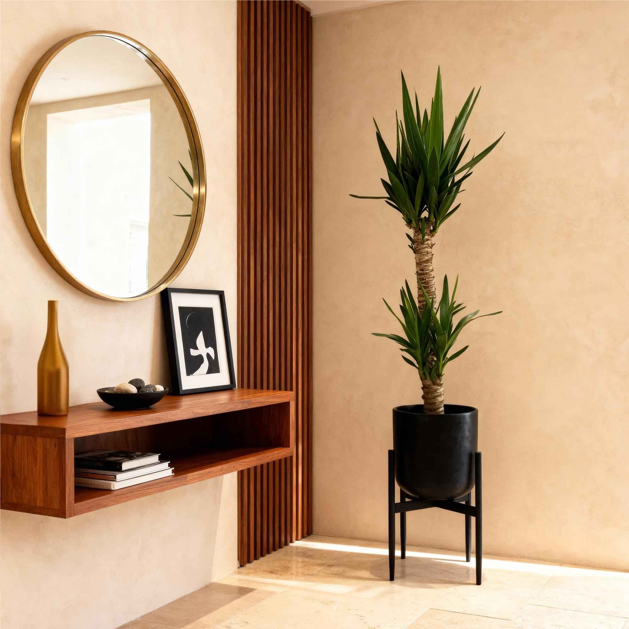 Image of Yucca Elephantipes – 120cm – 19cm – Pflegeleichte Zimmerpflanze mit schmalen Blättern – Robuste Palmlilie für helle & halbschattige Innenräume