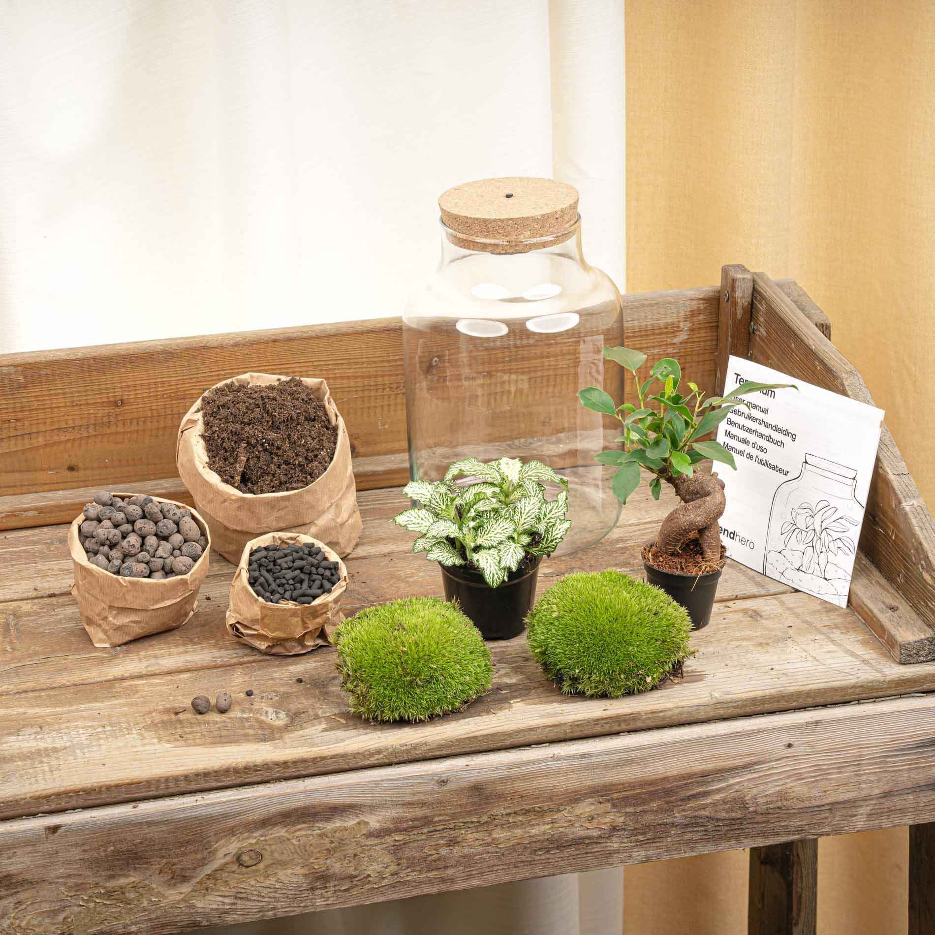 Image of Flaschengarten DIY Bausatz – Terrarium Little Milky mit LED – Kork – Ø17cm x H25cm – Selbstversorgendes Mini – Ökosystem-1
