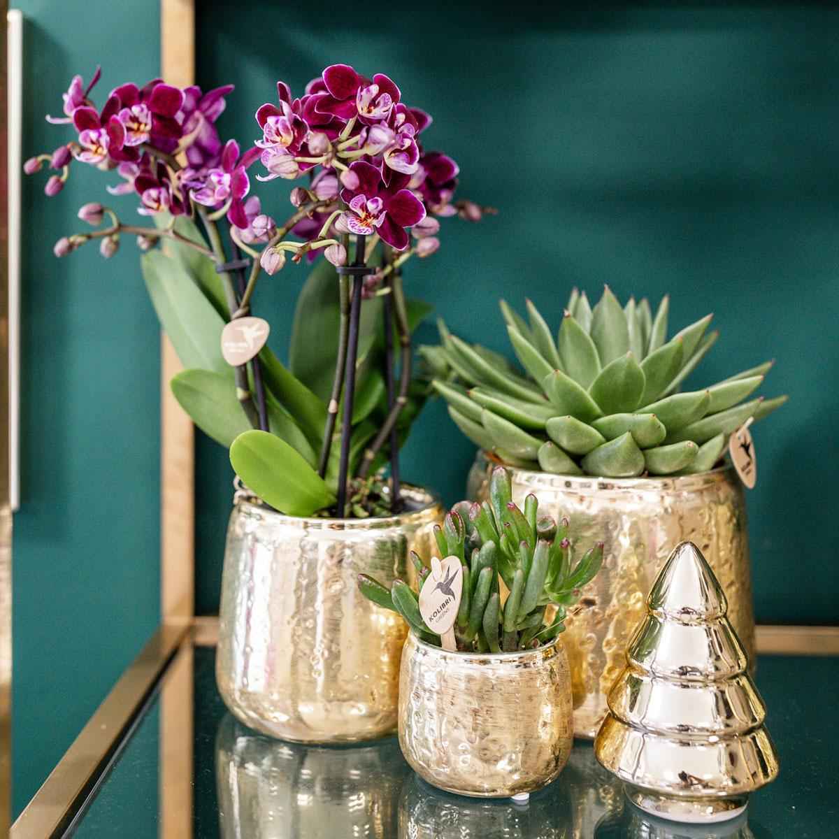 Image of Luxuriöser Blumentopf Gold – Keramik Ziertopf Ø9cm – Glänzender Pflanzkübel für Zimmerpflanzen – Edler Deko – Übertopf in Gold-4