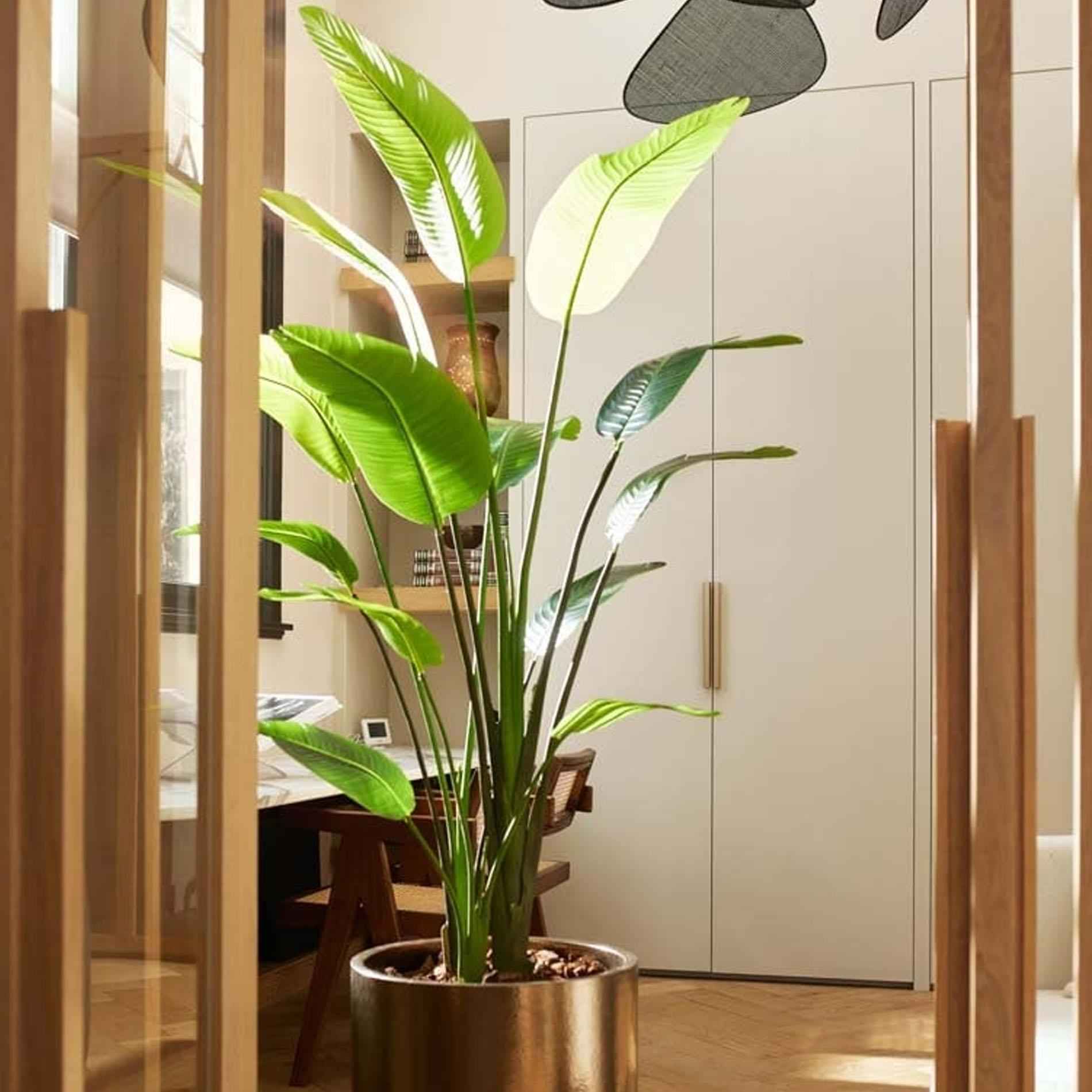 Image of Strelitzia nicolai Kunstpflanze 180cm – XXL Zimmerpflanze mit tropischen Blättern – Pflegefreie Deko-Pflanze für Wohnraum & Büro-2