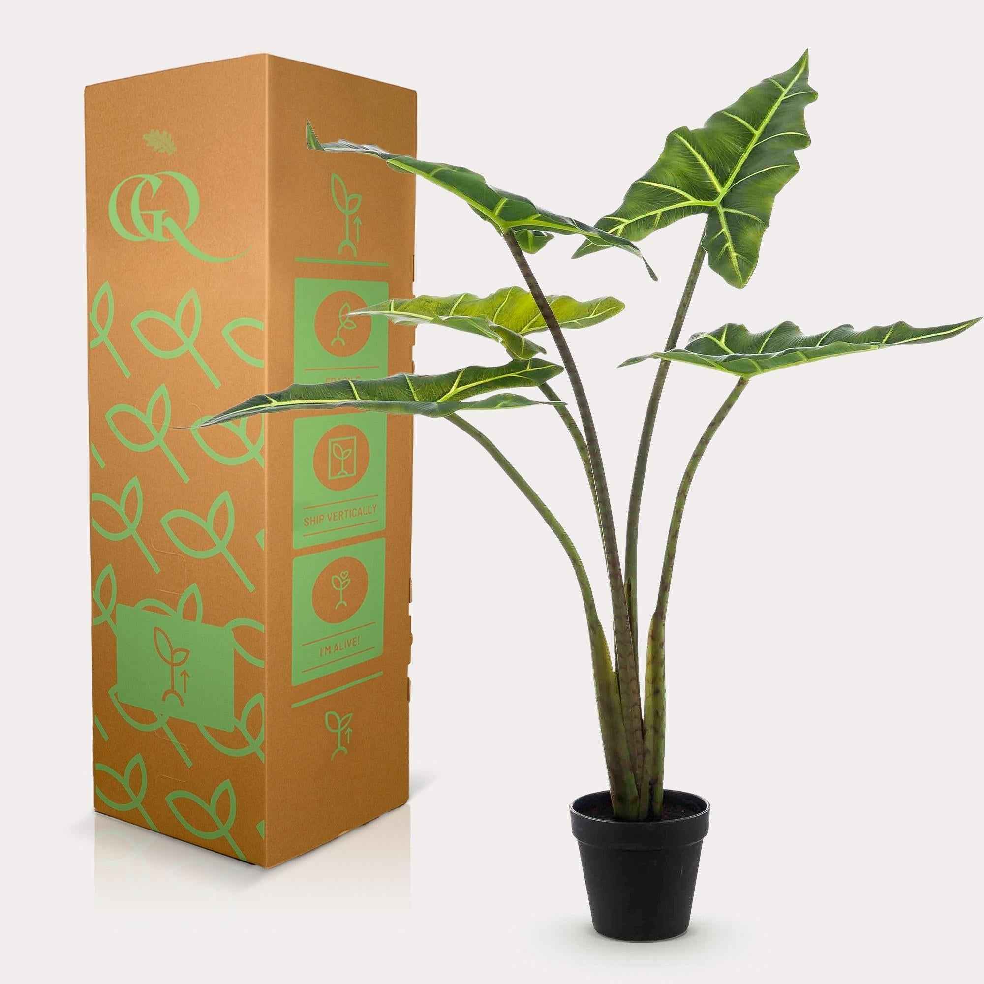 Image of Kunstpflanze Alocasia Frydek – 80cm – künstliche Zimmerpflanze mit naturgetreuen Blättern – Immergrün & pflegeleicht – Dekopflanze für Zimmer & Büro