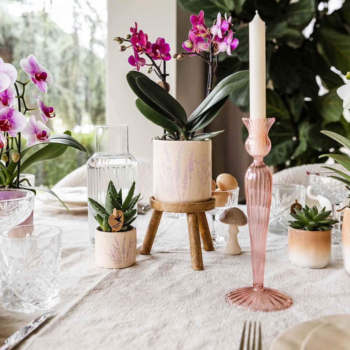 Image of Blumentopf Lavendel Ø9cm – Pflanztopf in sanftem Violett – Für kleine Zimmerpflanzen, Kräuter, Sukkulenten & Mini – Arrangements – Stilvoll & robust-4