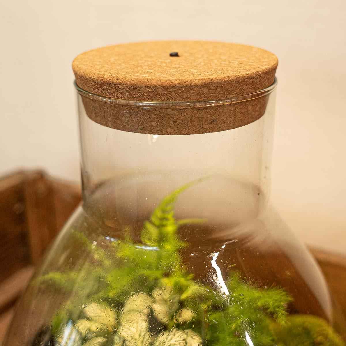 Image of LED Kork – Kork mit Beleuchtung – LED Lampe für Terrarium 13,2x11,9x3,5cm – Warmweißes Stimmungslicht für Flaschengarten & Glasdeko-3