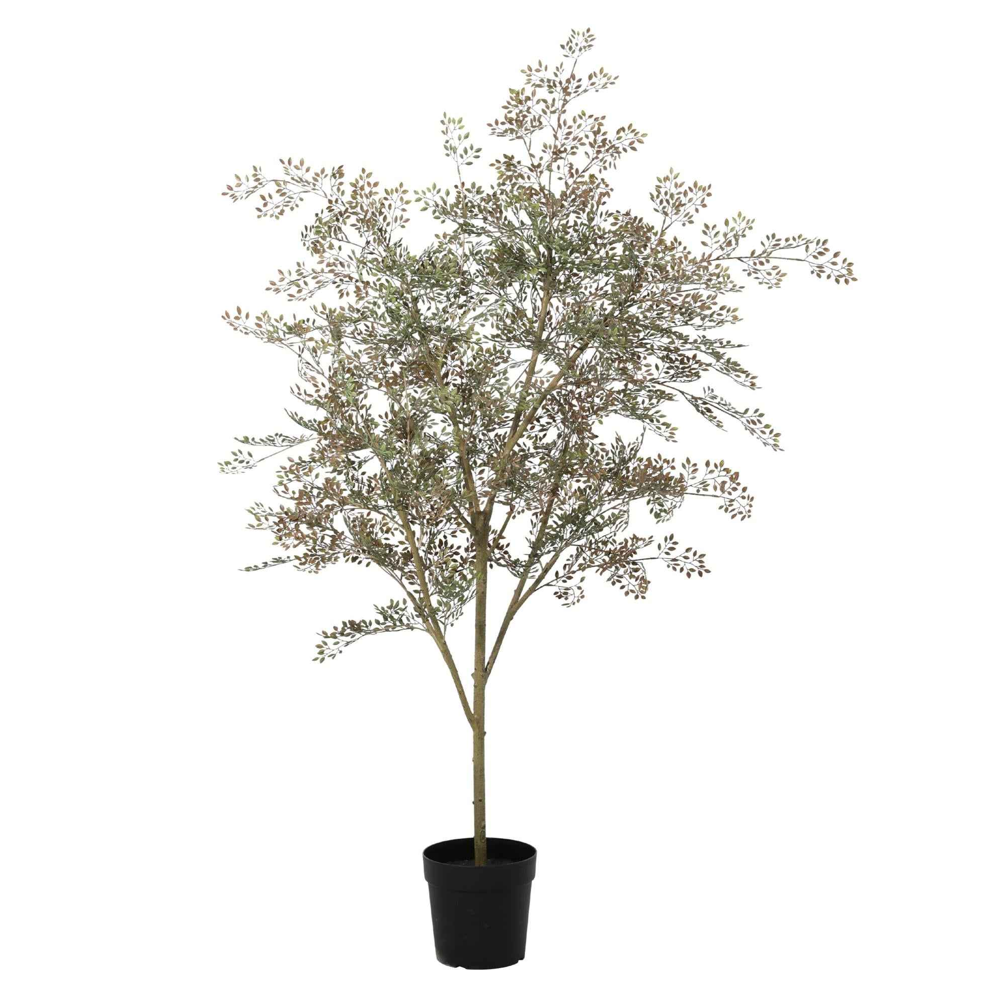 Image of Kunstpflanze Bucida165cm – künstlicher Deko – Baum im Topf – realistische Blattoptik & natürlicher Wuchs-0