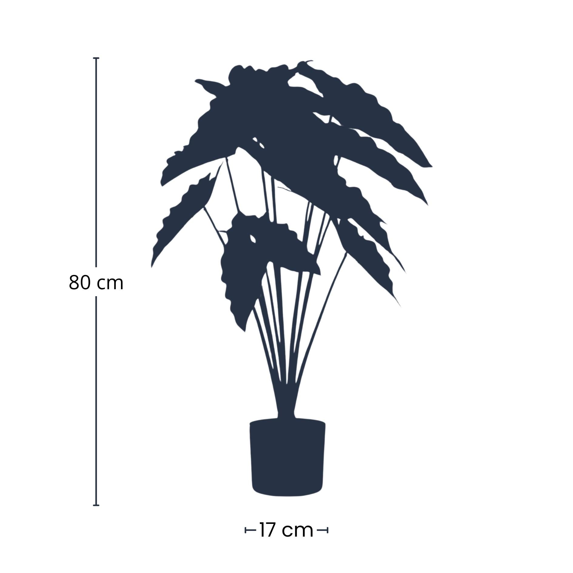 Image of Alocasia Kunstpflanze 80cm – Tropischer Blickfang in Grün – Pflegeleicht & Realistisch – Ohne Gießen – Für Wohnzimmer, Büro & Gastronomie-2