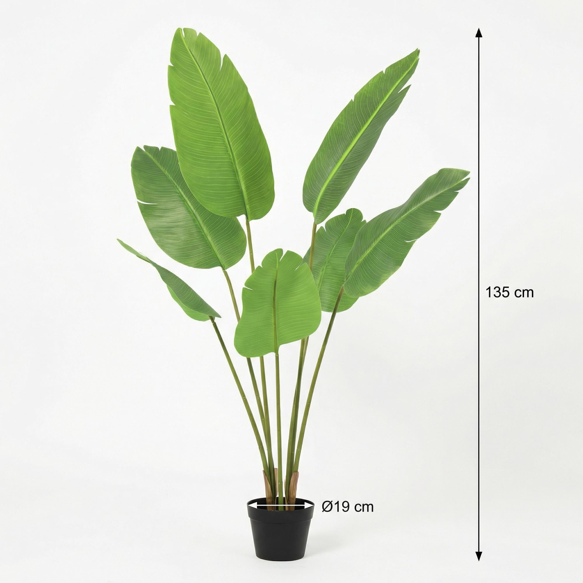 Image of Kunstpflanze Strelitzia Nicolai 135cm – künstliche Paradiesvogelpflanze – realistische XXL – Blätter & tropische Optik – pflegeleichte Grün-2