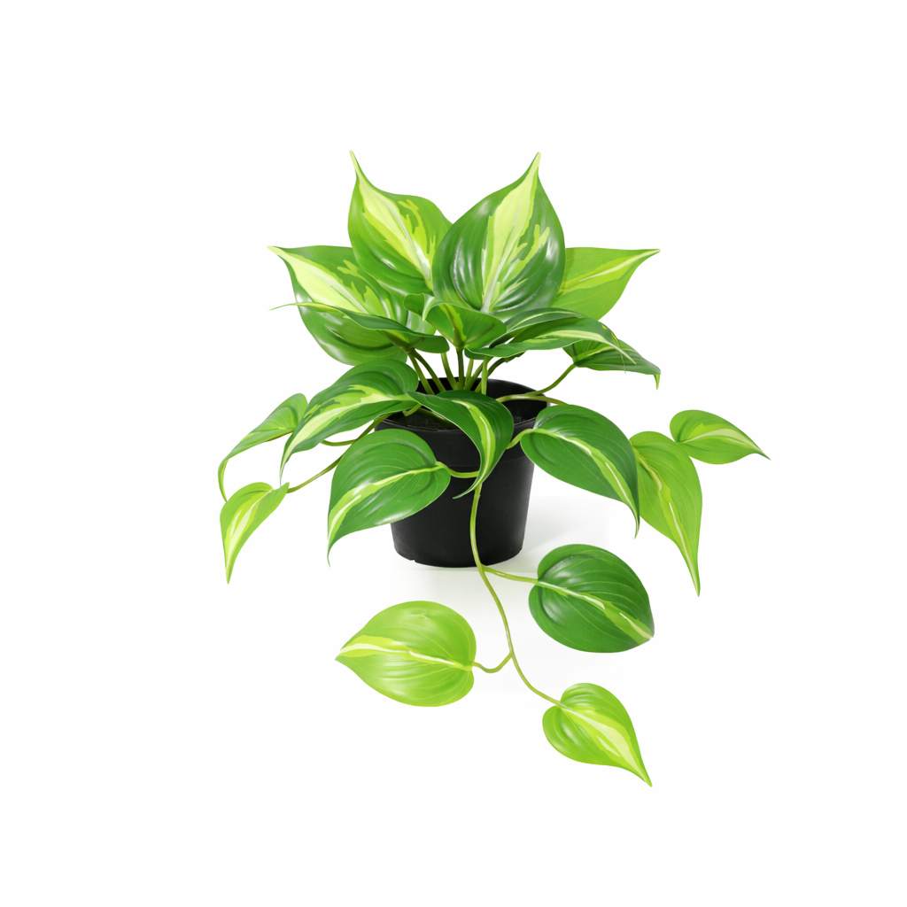Image of Künstliches Epipremnum Variegata Efeutute 23cm Kunstpflanze mit panaschierten Blättern für Zimmer Büro Badezimmer Regal pflegefreie grüne Wohnraum-0
