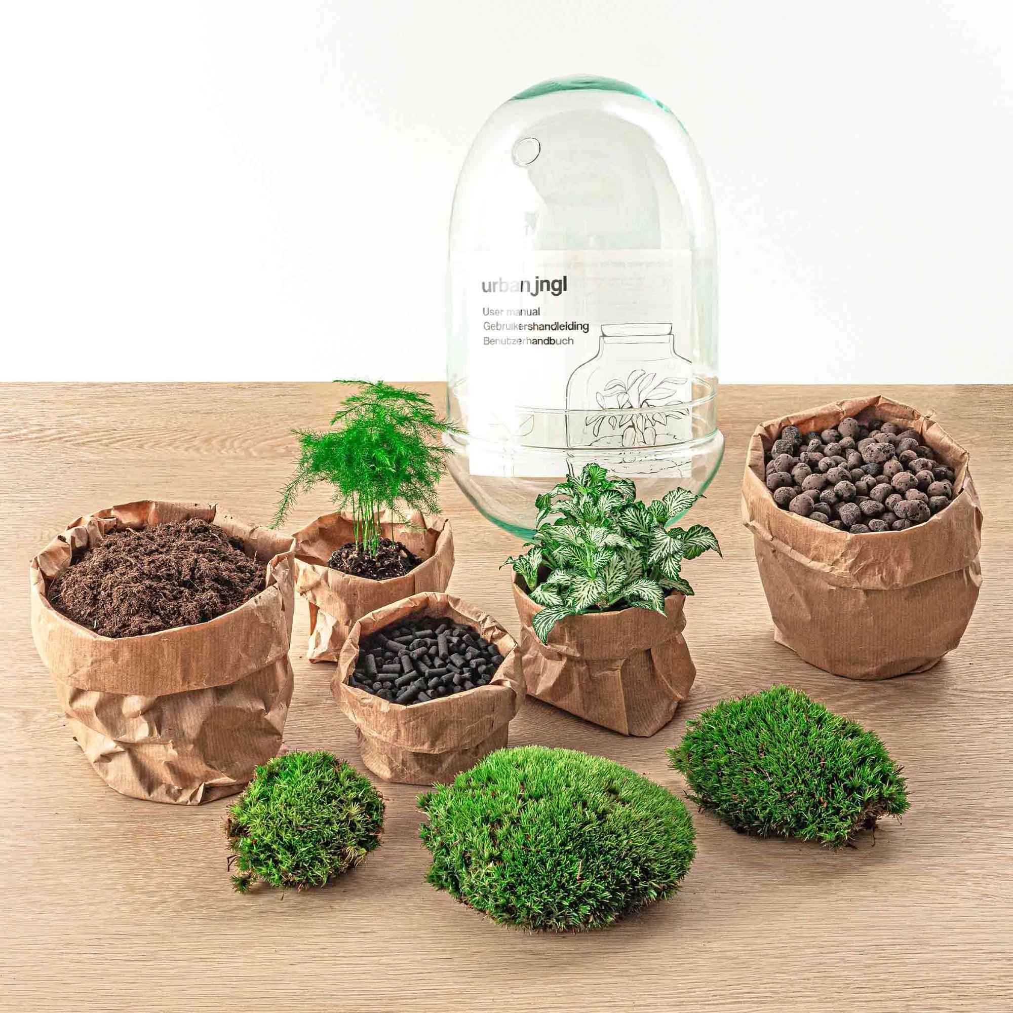 Image of Flaschengarten Egg XL – DIY Bausatz Terrarium – ↕30cm – Do – It – Yourself Pflanzen – Set im Glas mit Korkdeckel – Autarkes Mini – Ökosystem-3