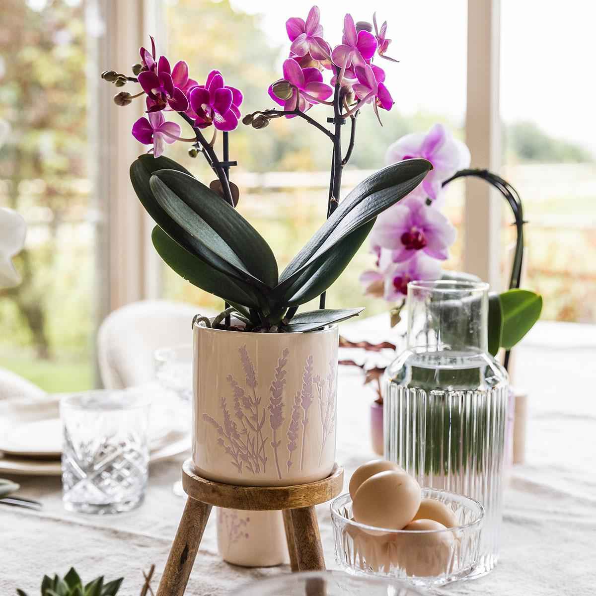 Image of Blumentopf Lavendel Ø9cm – Pflanztopf in sanftem Violett – Für kleine Zimmerpflanzen, Kräuter, Sukkulenten & Mini – Arrangements – Stilvoll & robust-1