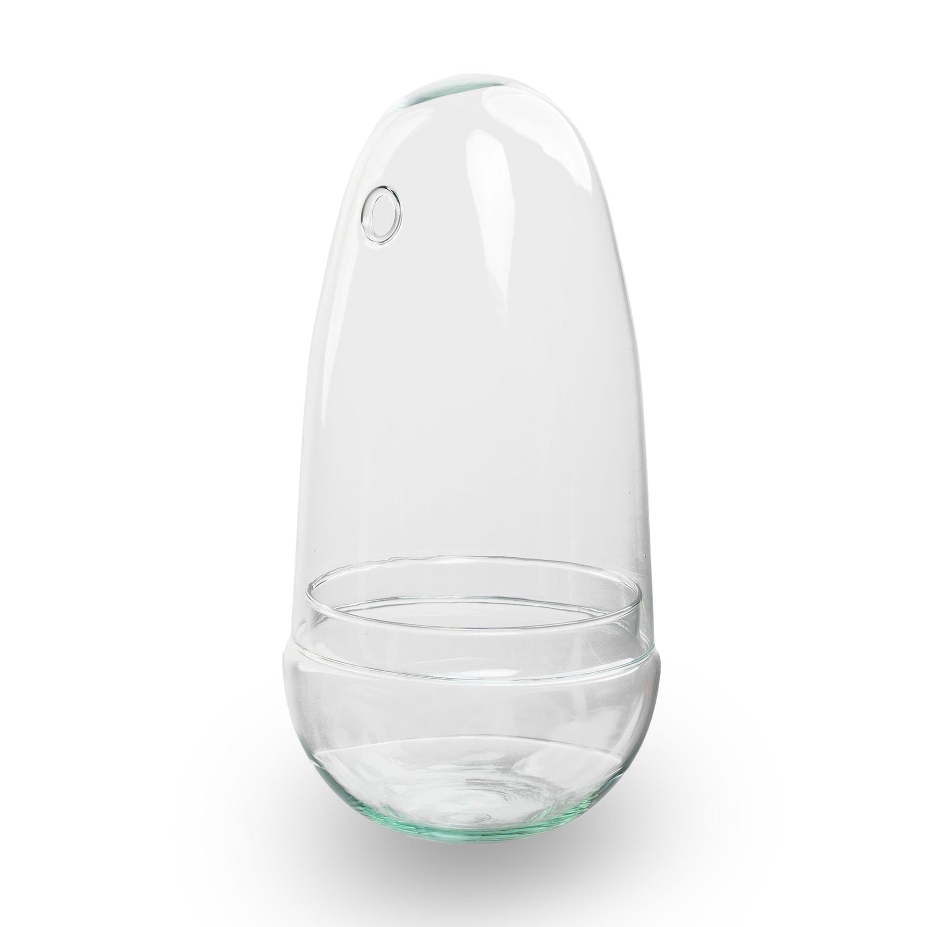 Image of Flaschengarten Ei – Terrarium – Recyceltes Glas – ↑26cm x Ø12cm – DIY Pflanzenglas für Mini – Dschungel & Dekoration-0