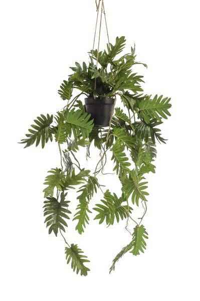 Image of Kunstpflanze Philodendron – Hängepflanze 80cm – Täuschend echt & pflegefrei – Dekorative Kunst – Zimmerpflanze für Wohnzimmer, Büro & kleine Räume-0