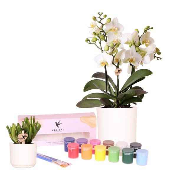 Image of Malset Blumentöpfe bemalen mit Orchideen & Sukkulenten – DIY Kreativset für mindestens 4 Personen – Bastelset für Kinder & Erwachsene