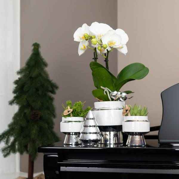 Image of Le Chic Blumentopf Weiß mit silbernen Details – Dekorativer Keramiktopf Ø9cm – Eleganter Ziertopf für Orchideen & Grünpflanzen-3